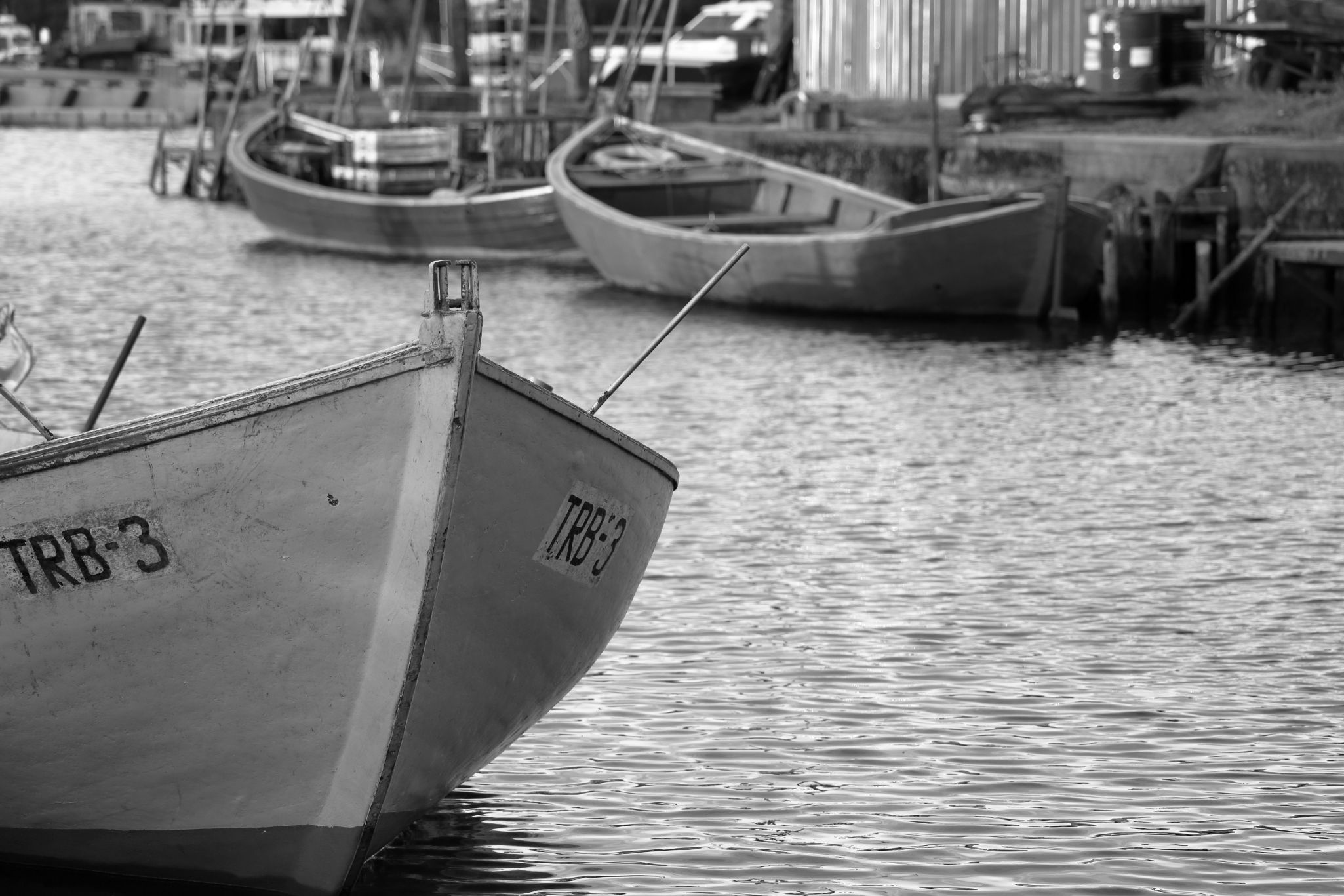 2024 04 17 1418 v2 bw out