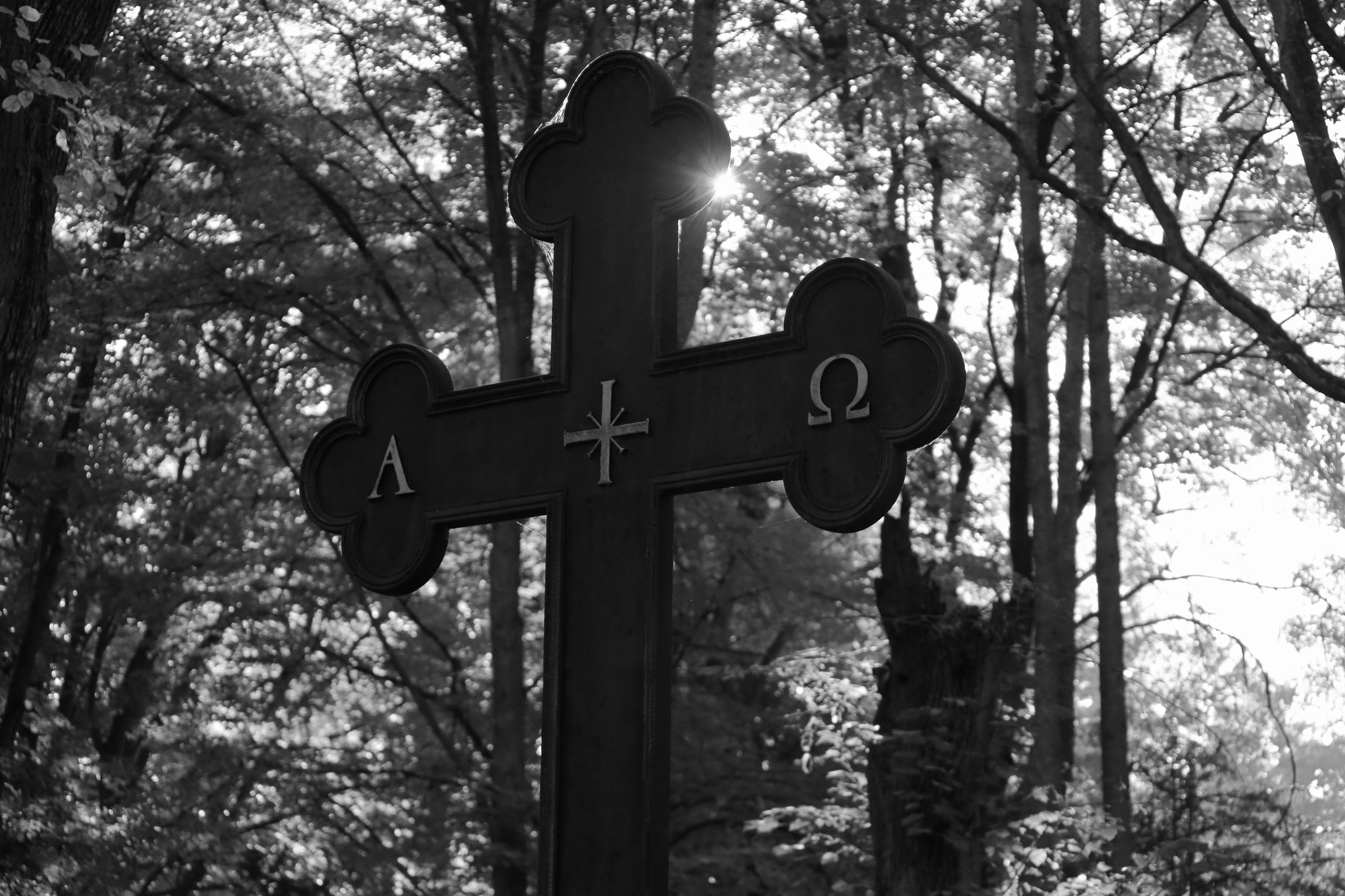 2025 10 19 8470 bw out