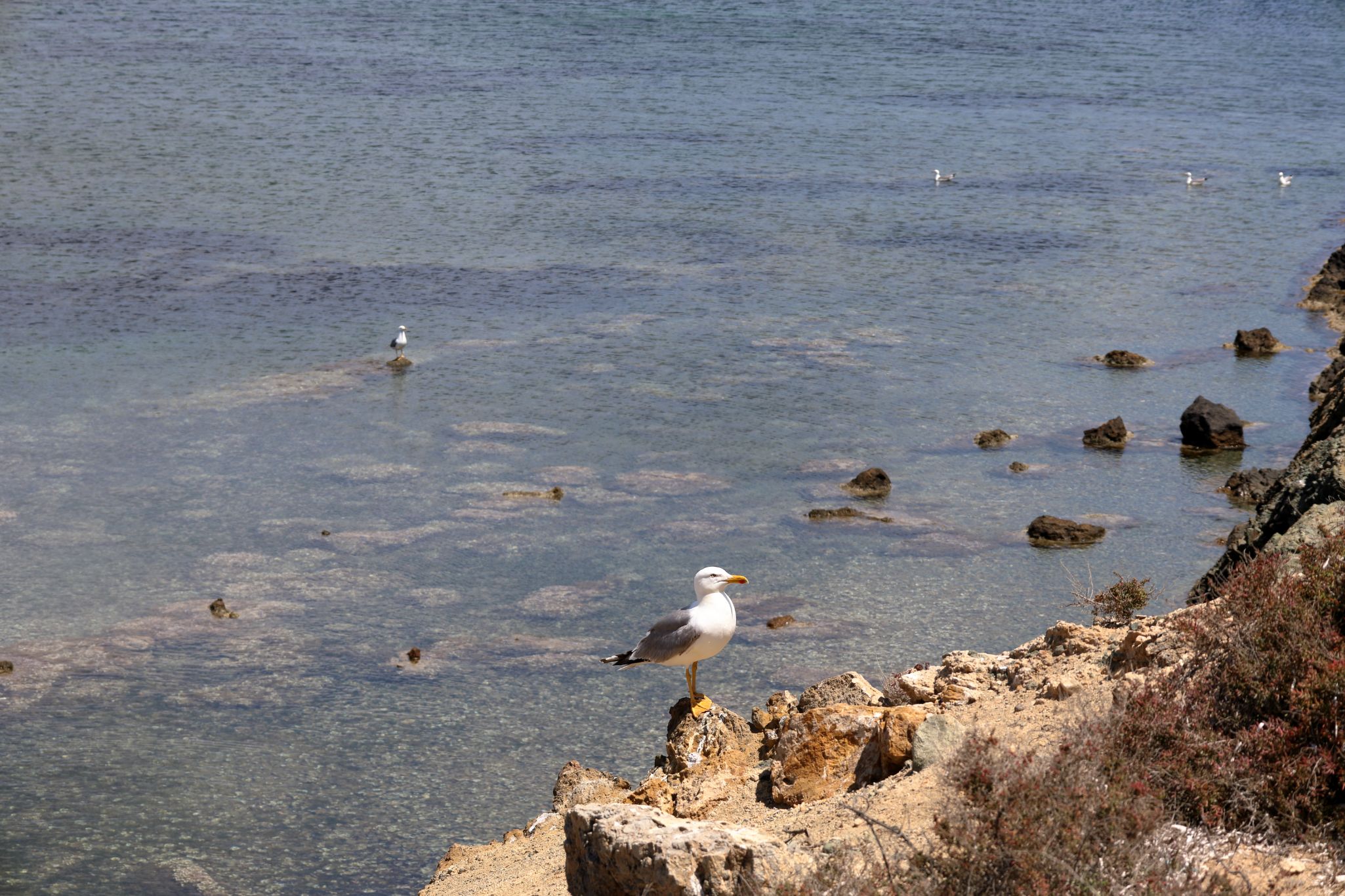 2024 05 14 2732 out