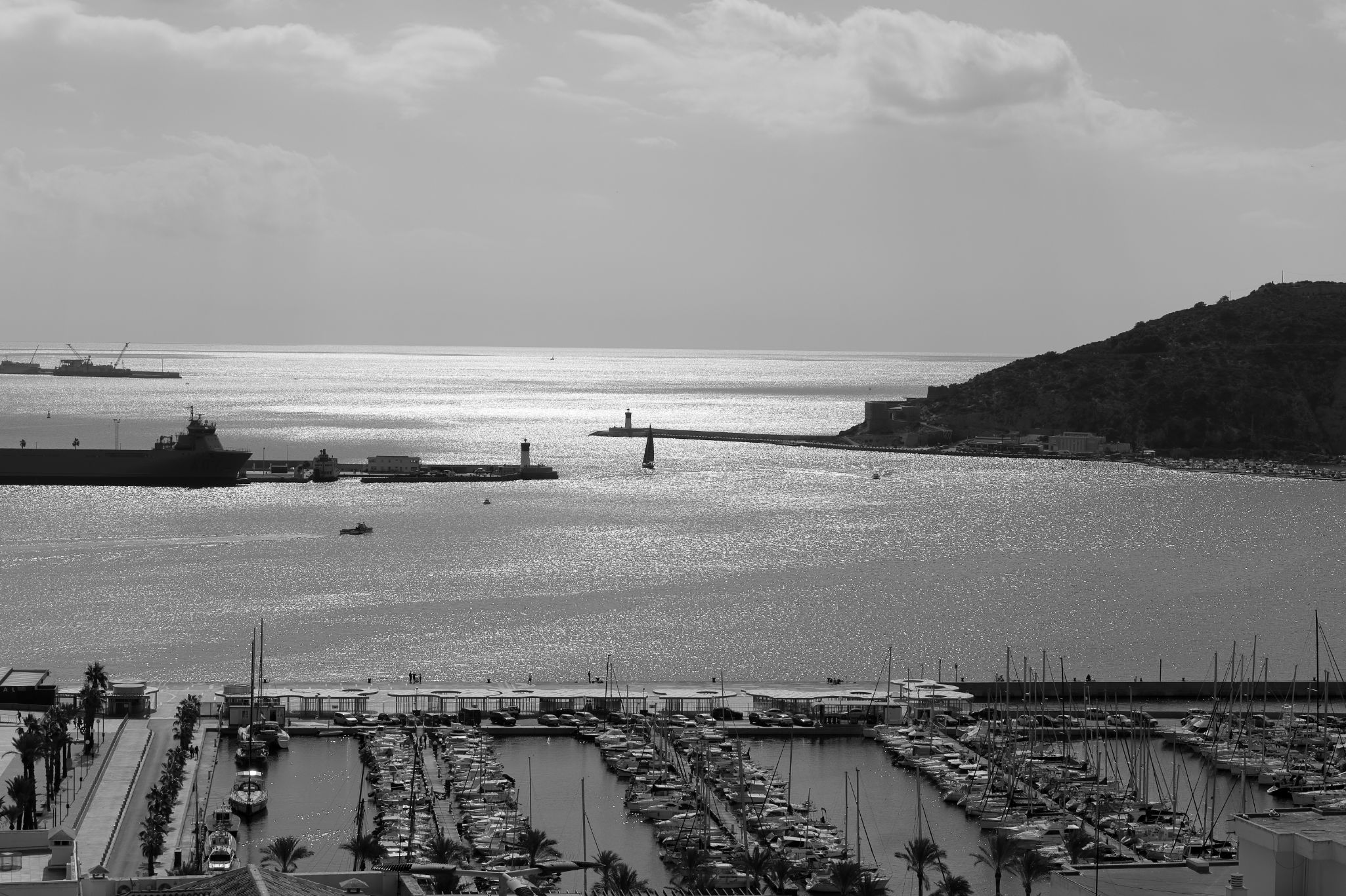 2024 11 01 4941 v2 bw out
