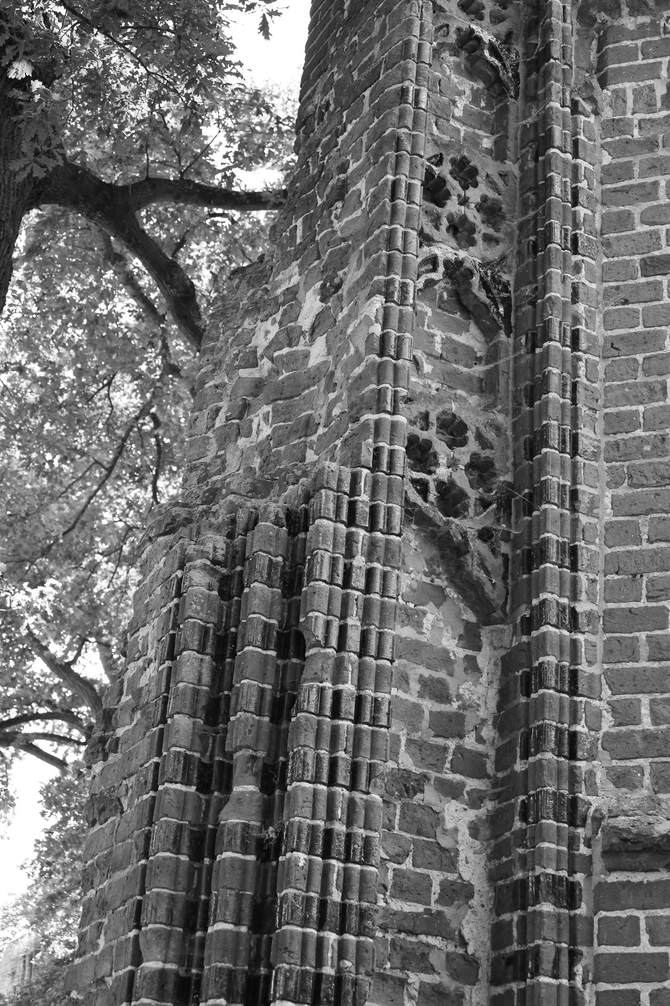 2024 06 16 3220 v2 bw out