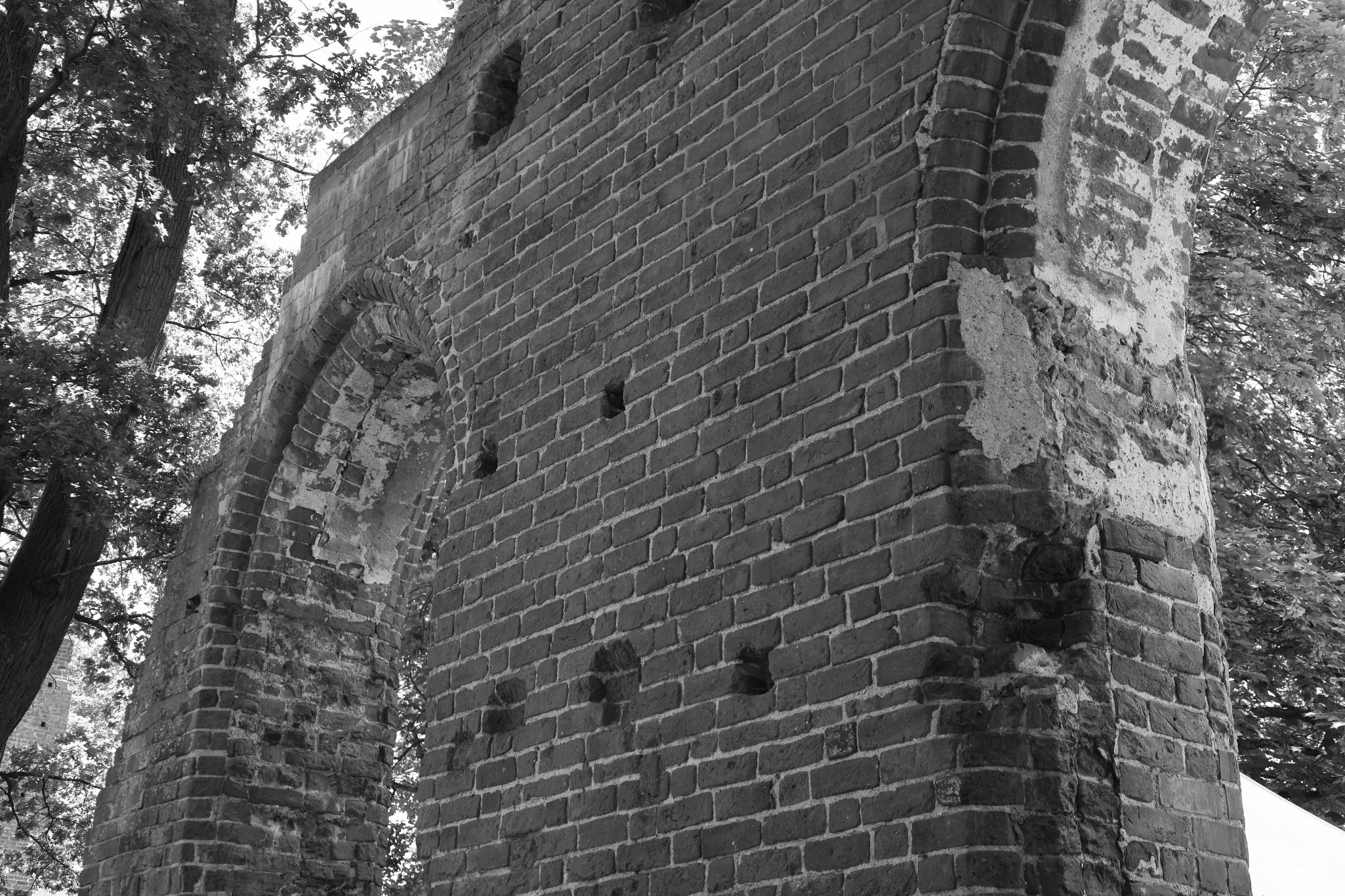 2024 06 16 3221 v2 bw out