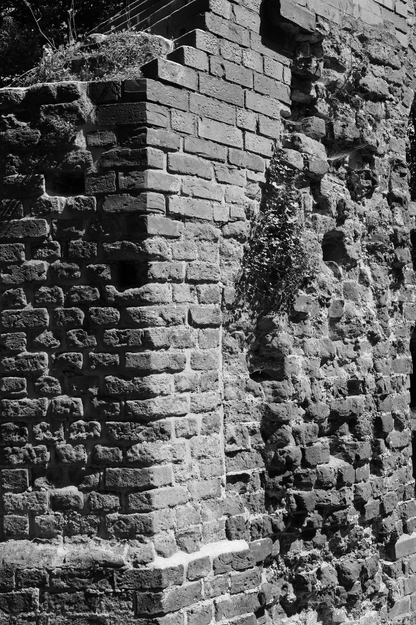 2024 06 16 3231 v2 bw out