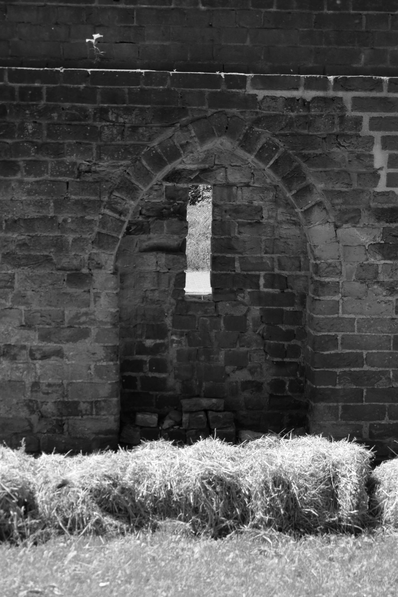 2024 06 16 3240 v2 bw out