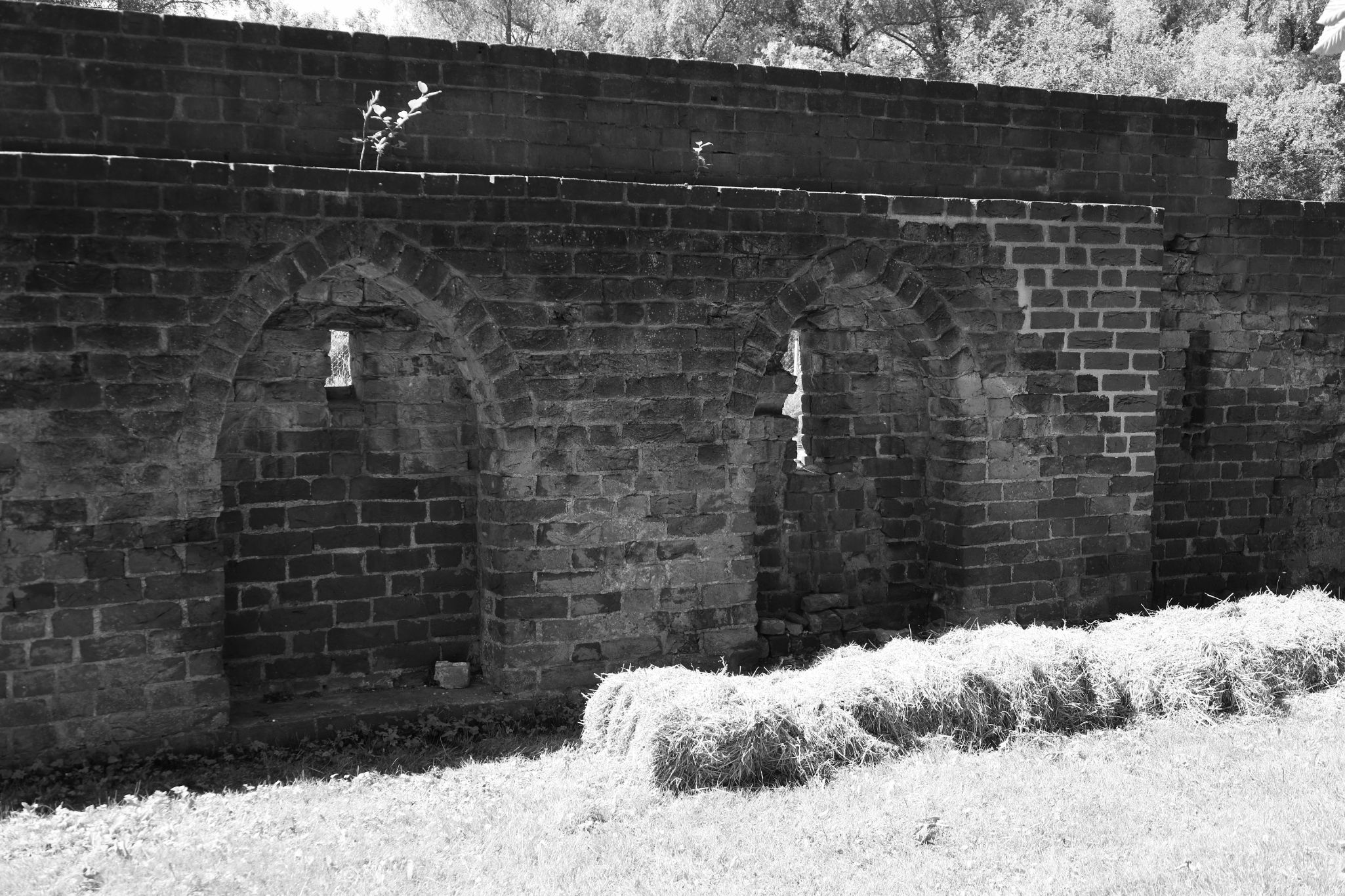 2024 06 16 3243 v2 bw out