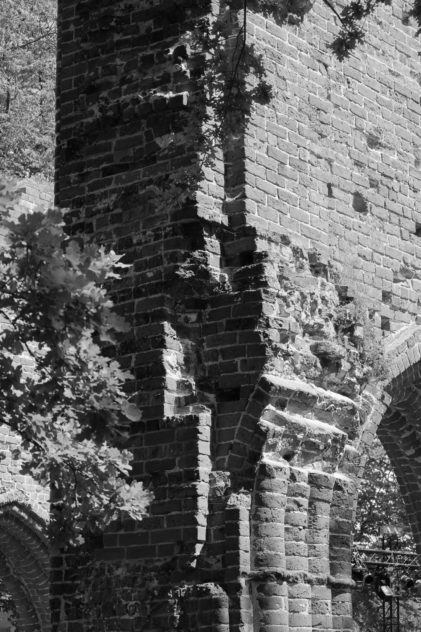 2024 06 16 3246 v2 bw out