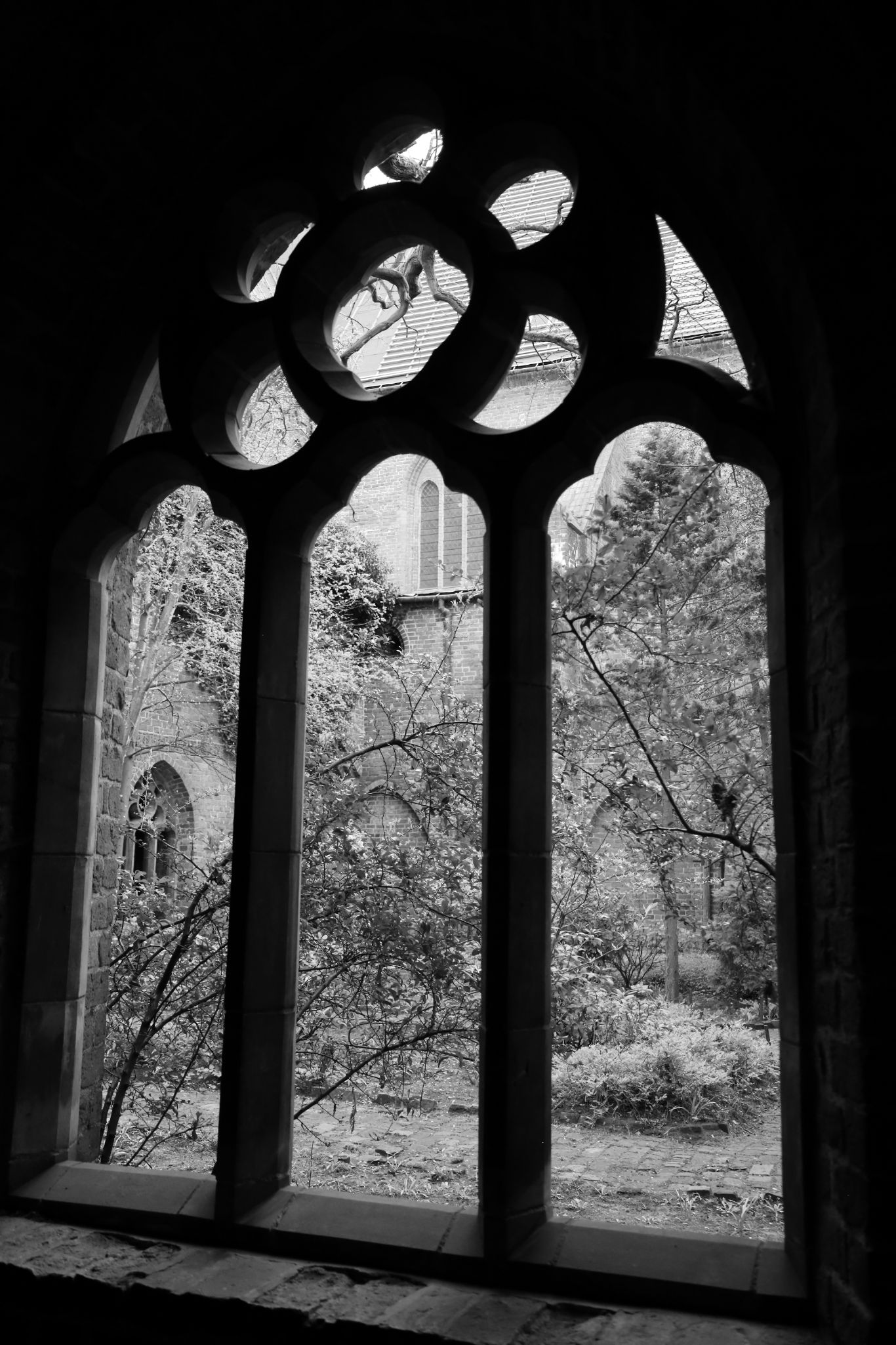 2024 04 13 1136 v2 bw out