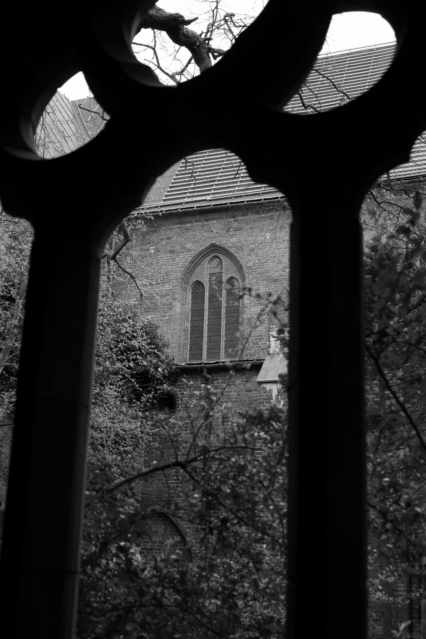 2024 04 13 1137 v2 bw out