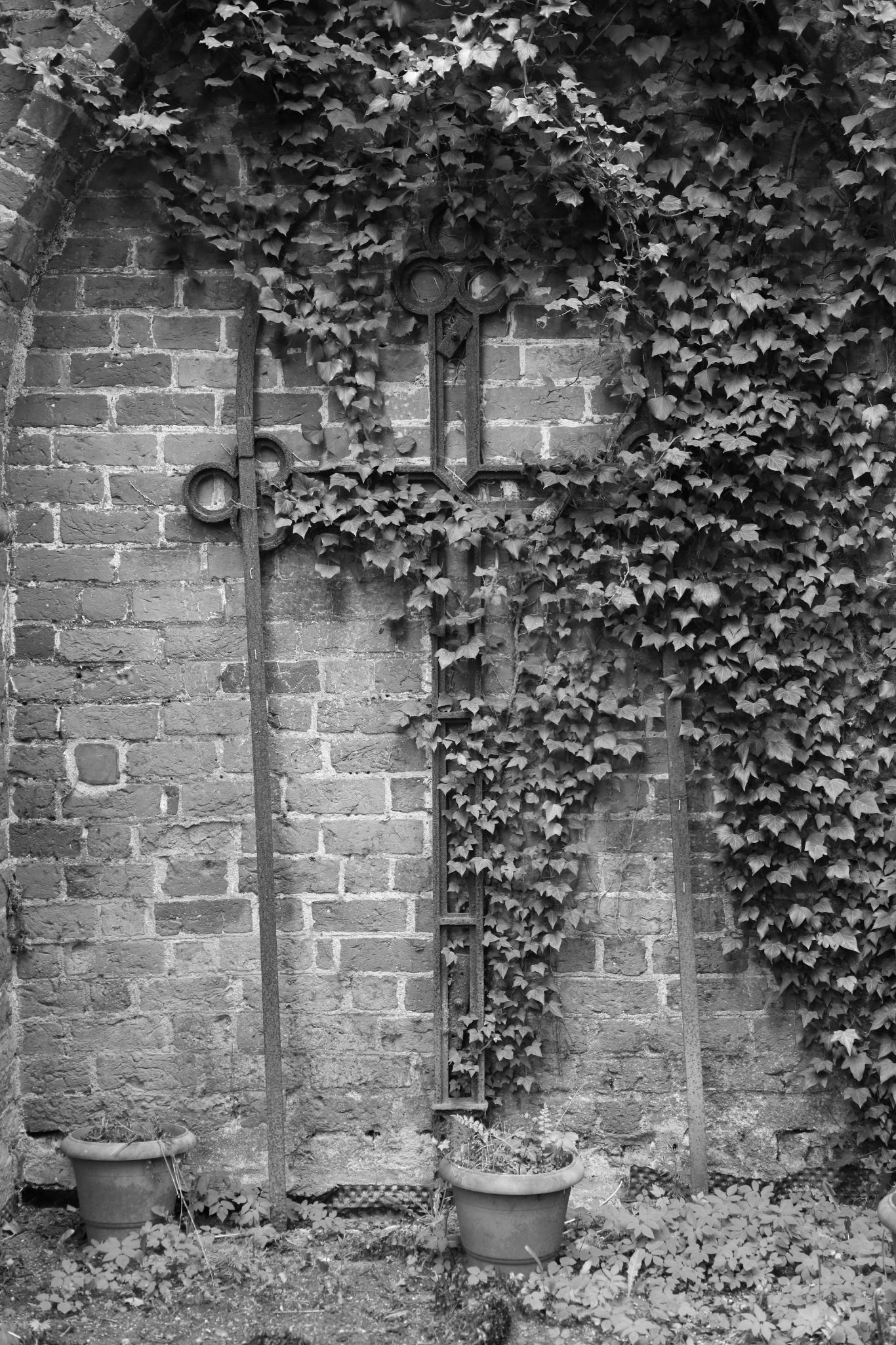 2024 04 13 1145 v2 bw out