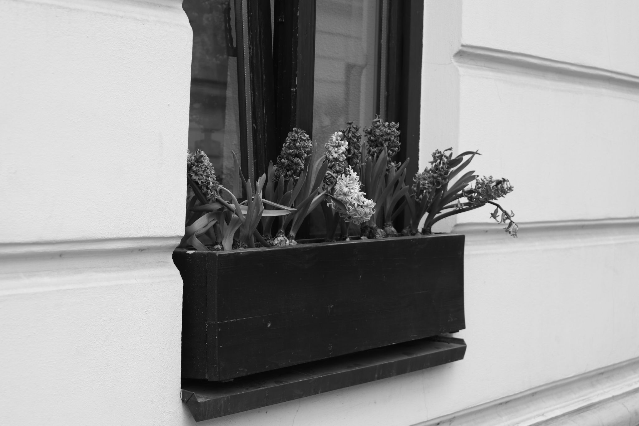 Krakow  B&W