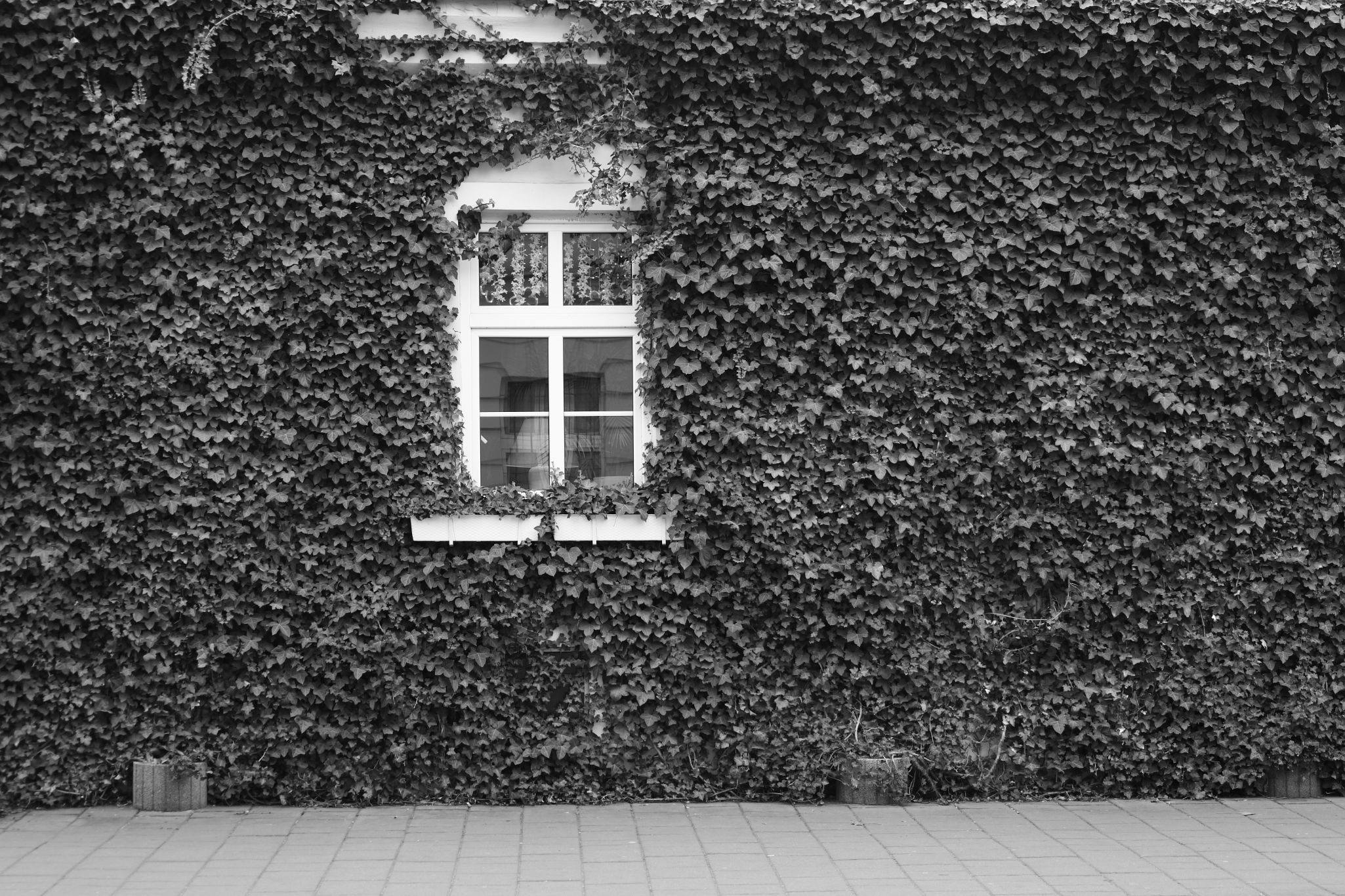2025 04 13 5924 bw out