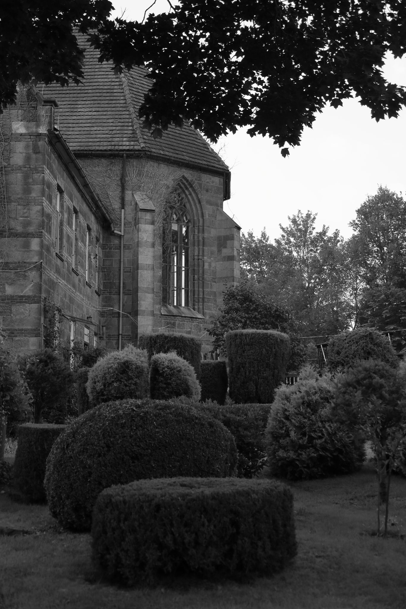 2024 08 16 3865 v2 bw out