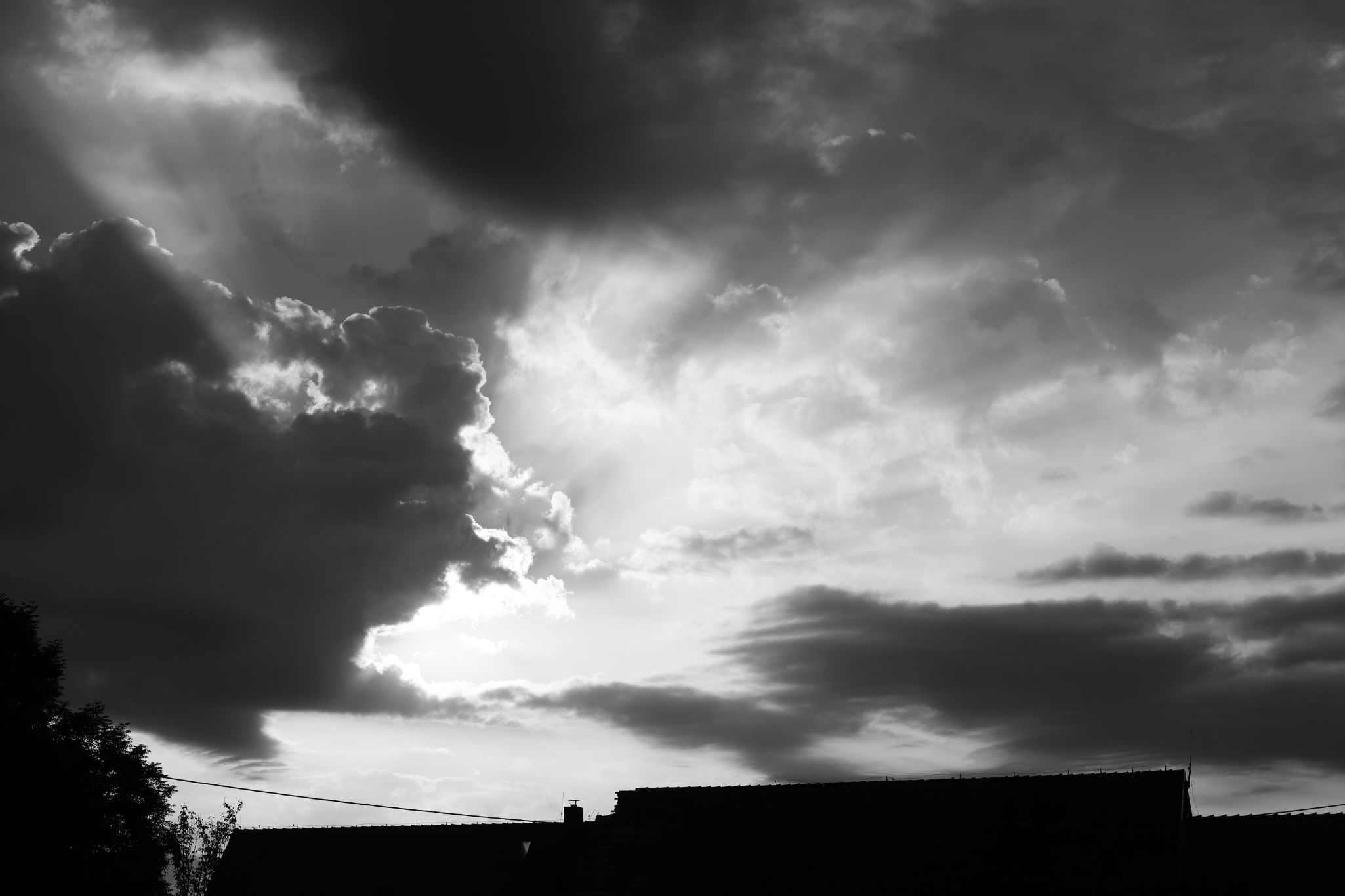 2024 08 16 3873 v2 bw out