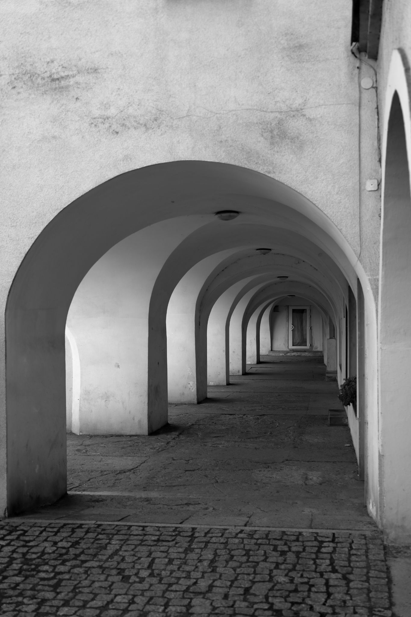 2024 08 16 3897 v2 bw out