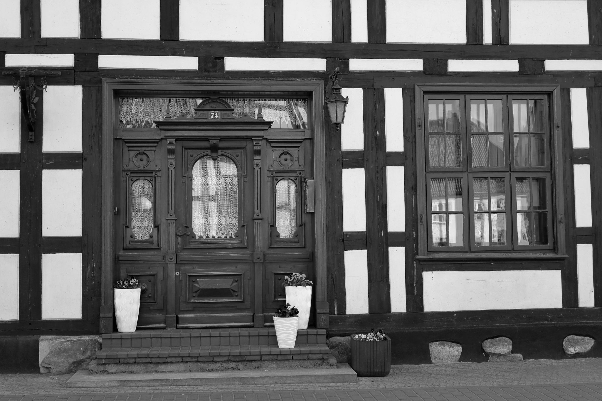 2024 04 14 1174 v2 bw out