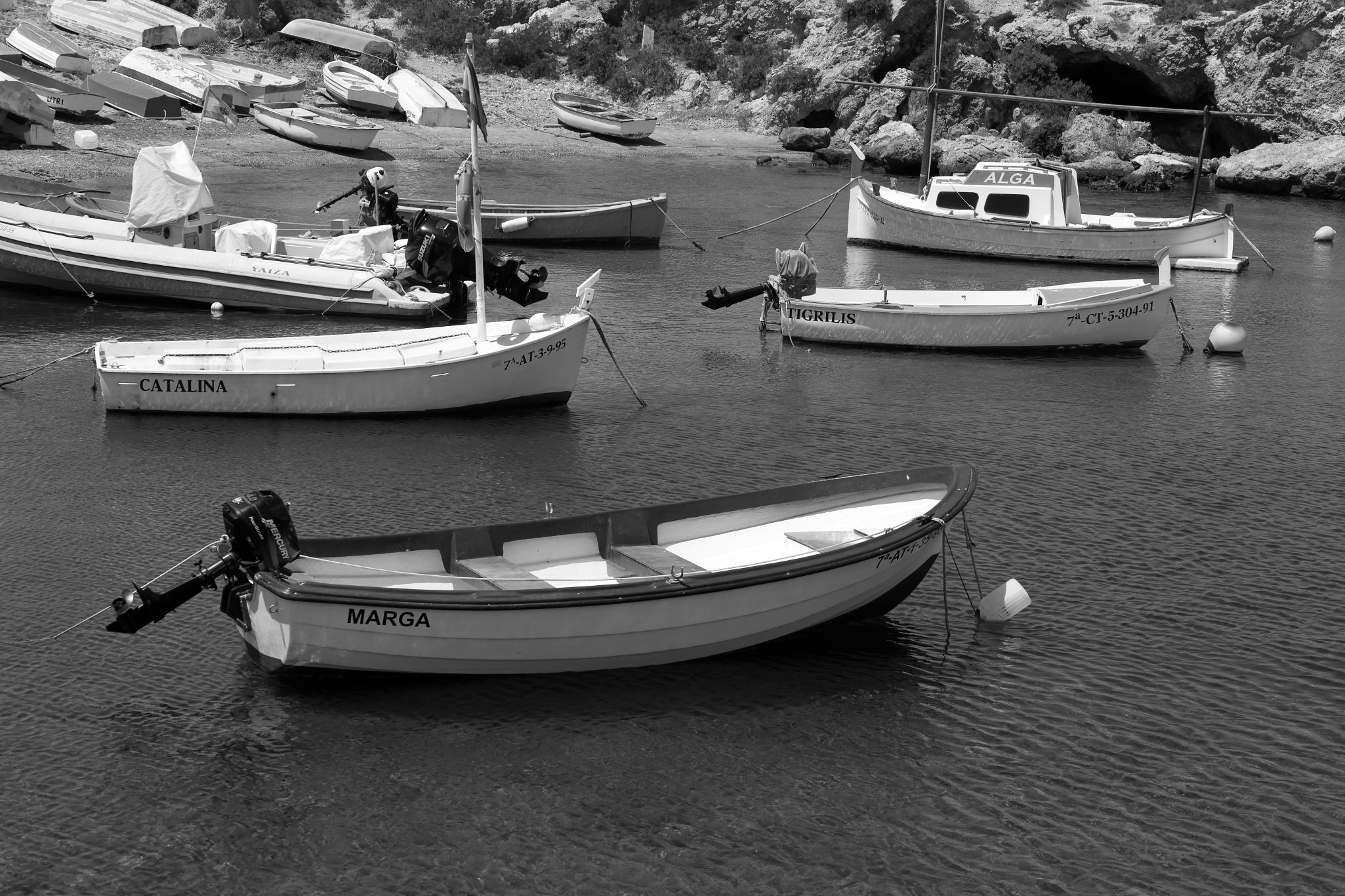 2024 05 14 2726 v2 bw out
