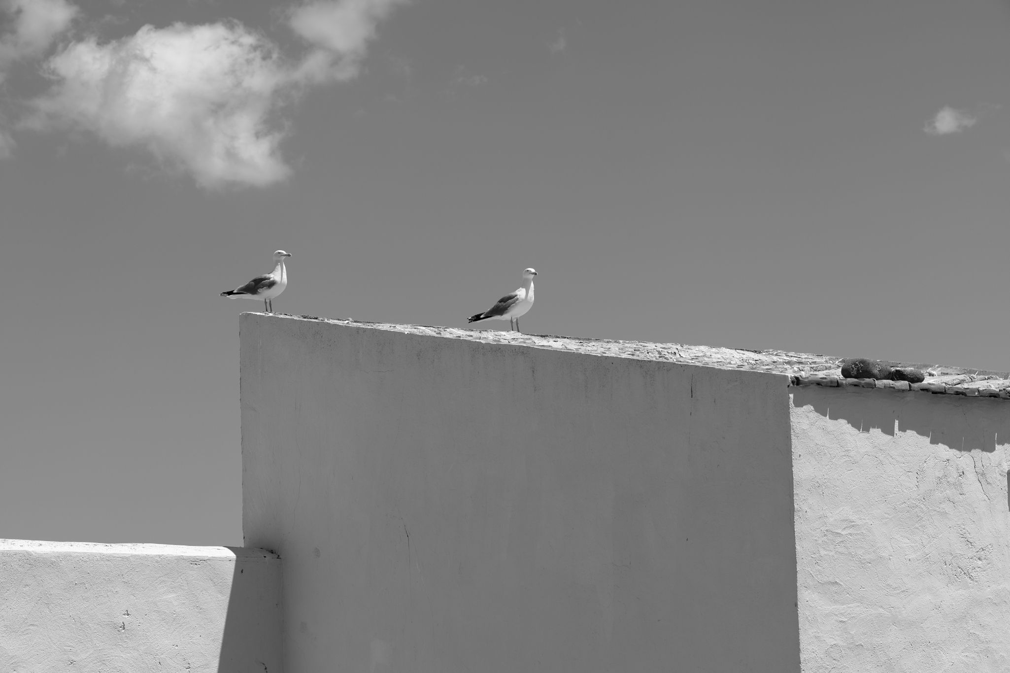 2024 05 14 2760 v2 bw out
