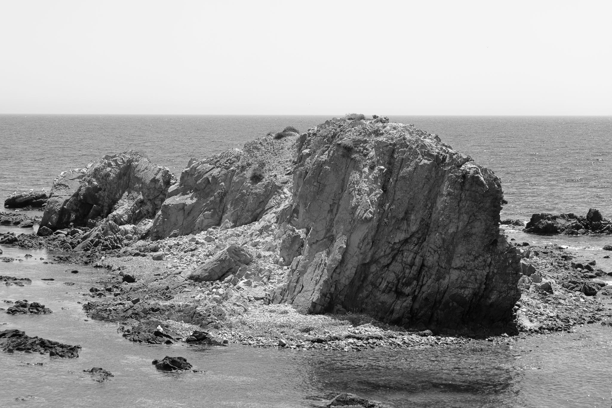 2024 05 14 2763 v2 bw out