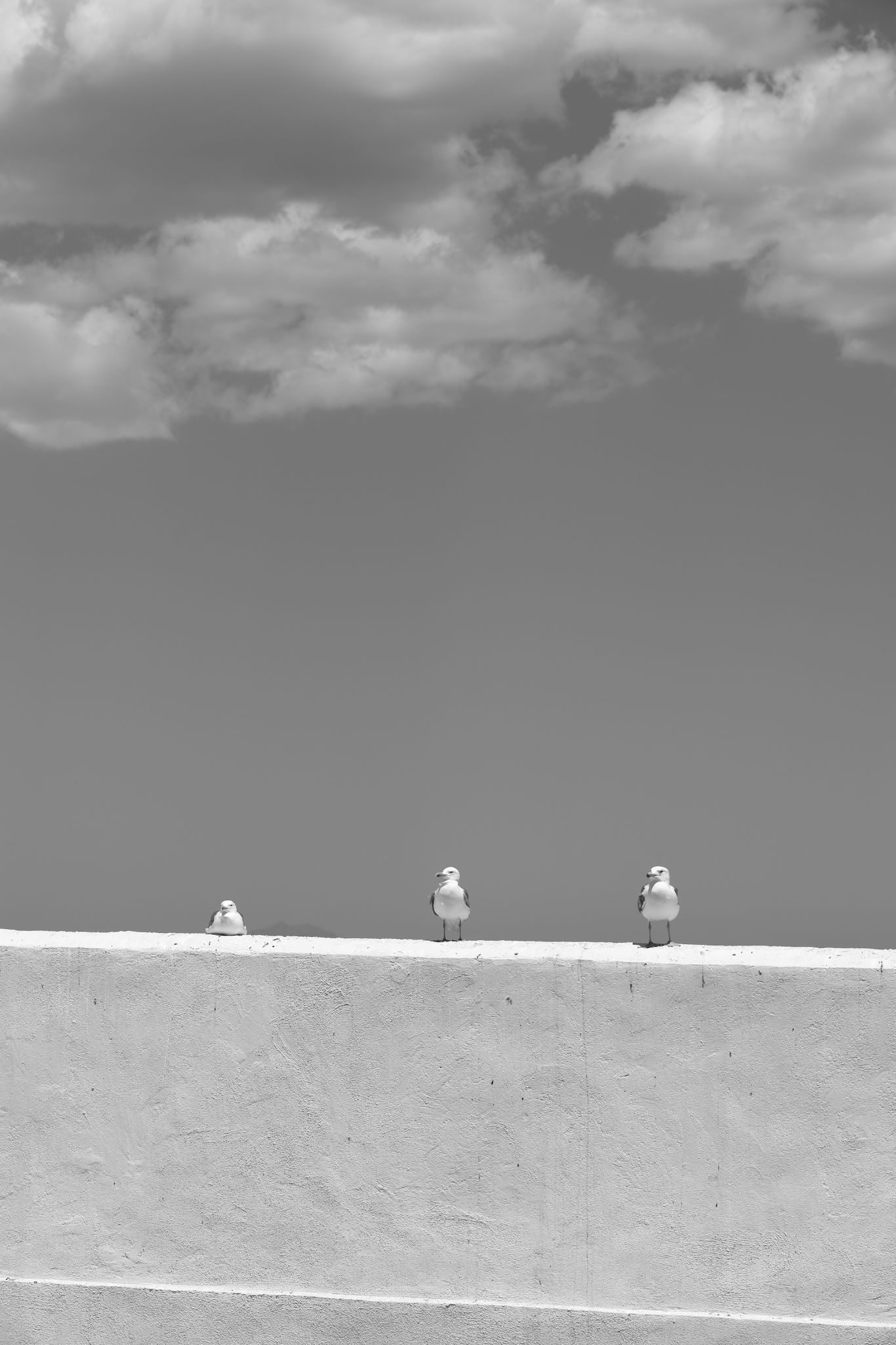 2024 05 14 2786 v2 bw out