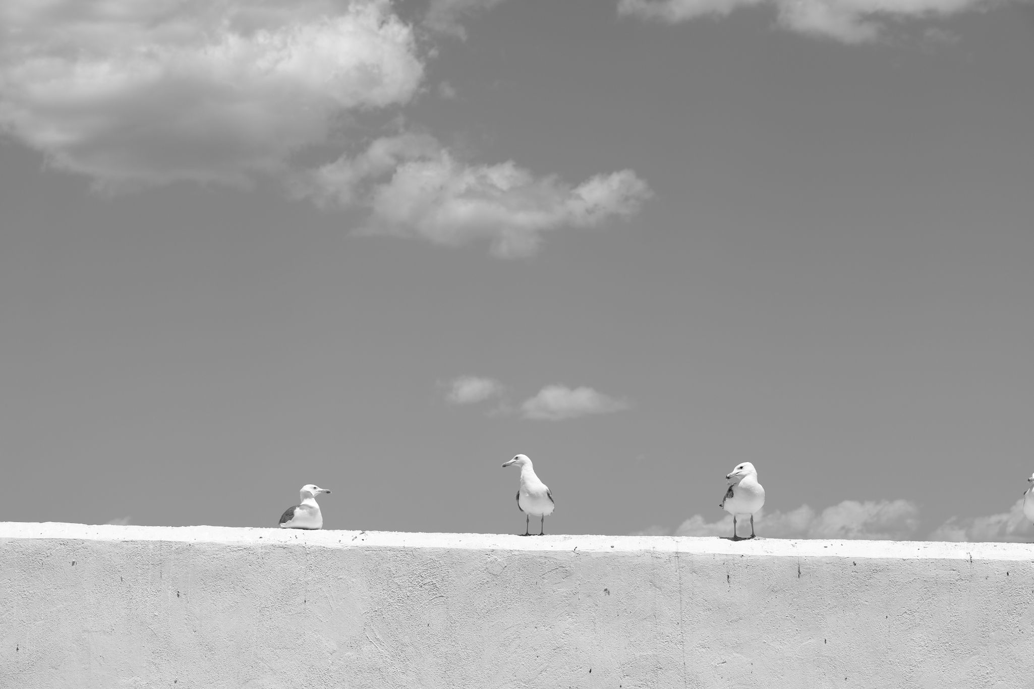 2024 05 14 2789 v2 bw out