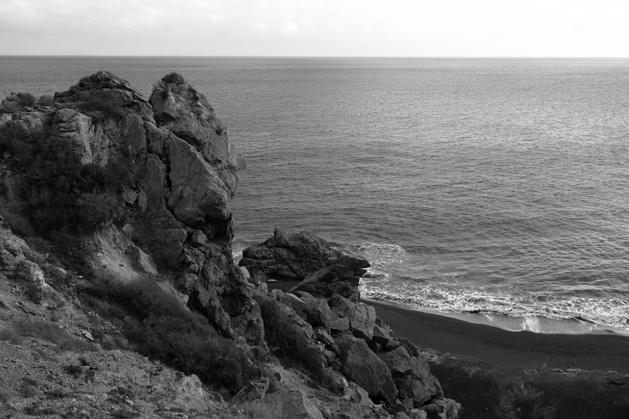 2024 11 01 4981 v2 bw out