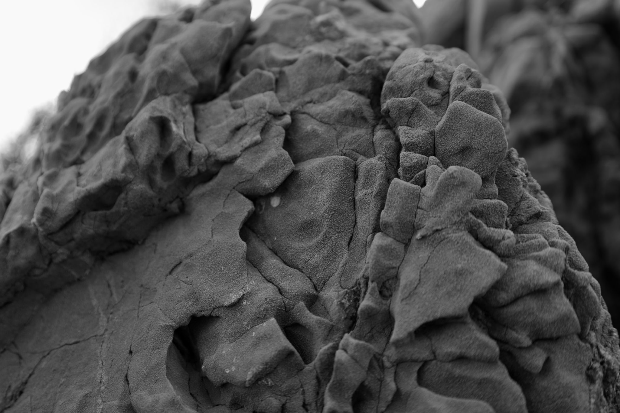 2024 11 01 4991 v2 bw out