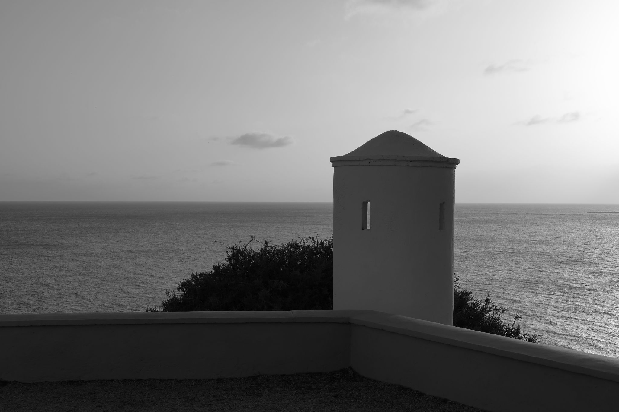 2024 11 01 5014 v2 bw out