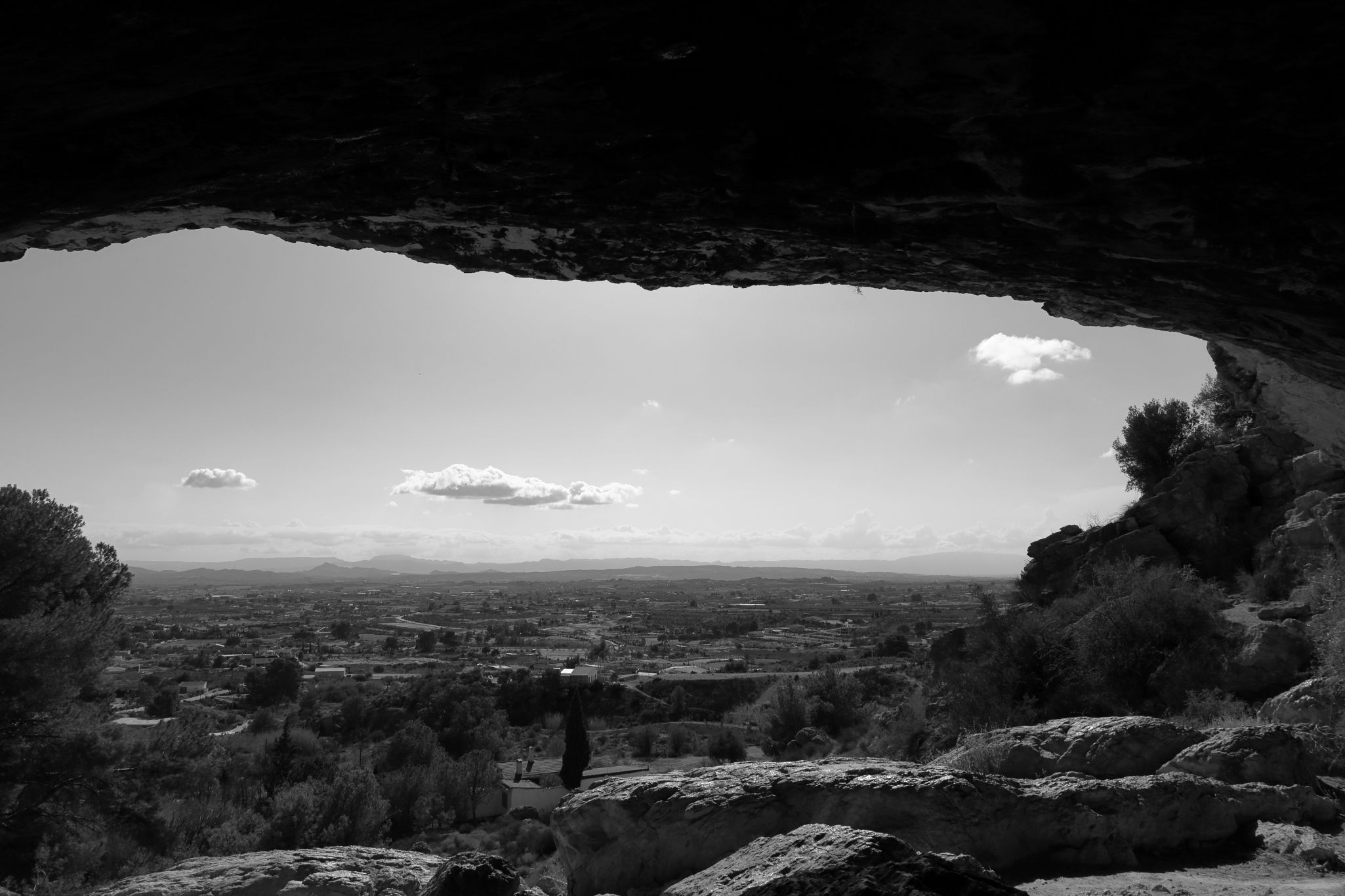 2024 11 02 5075 bw out