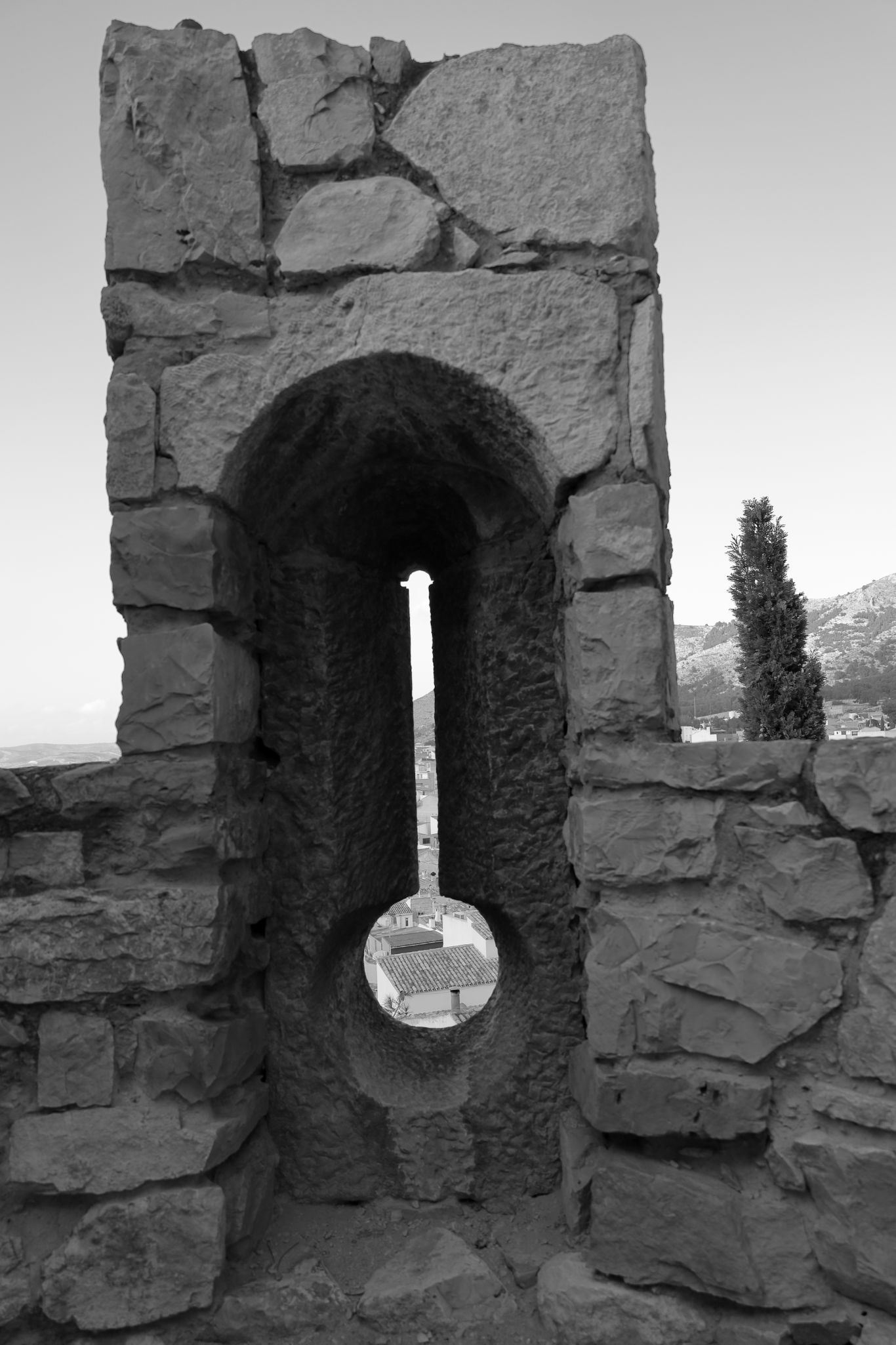 2024 11 06 5218 bw out