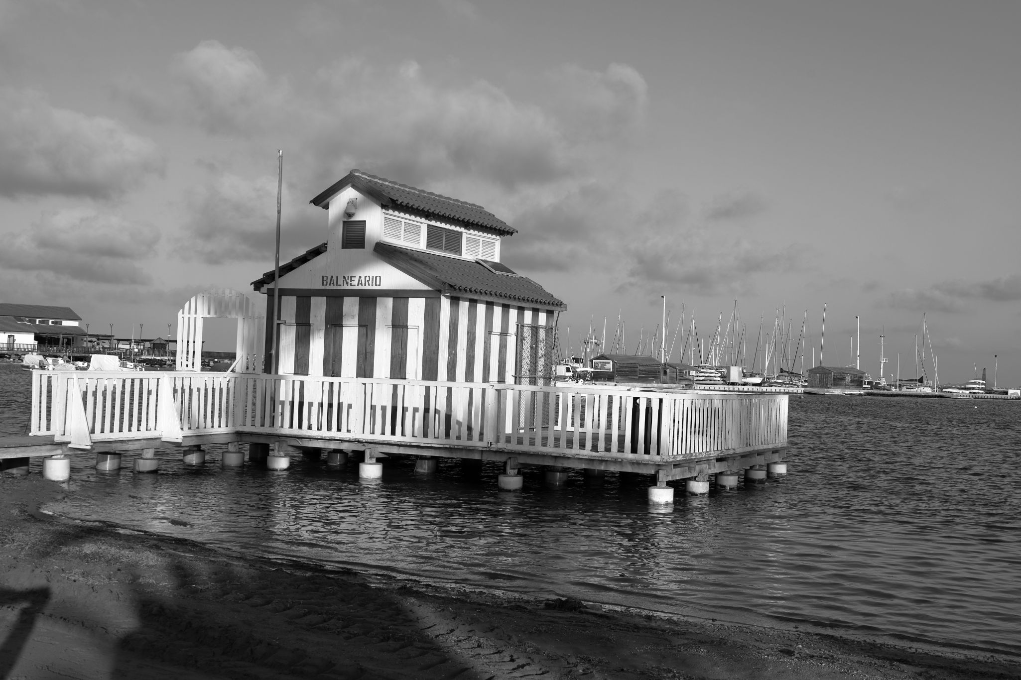 2024 11 07 5277 bw out