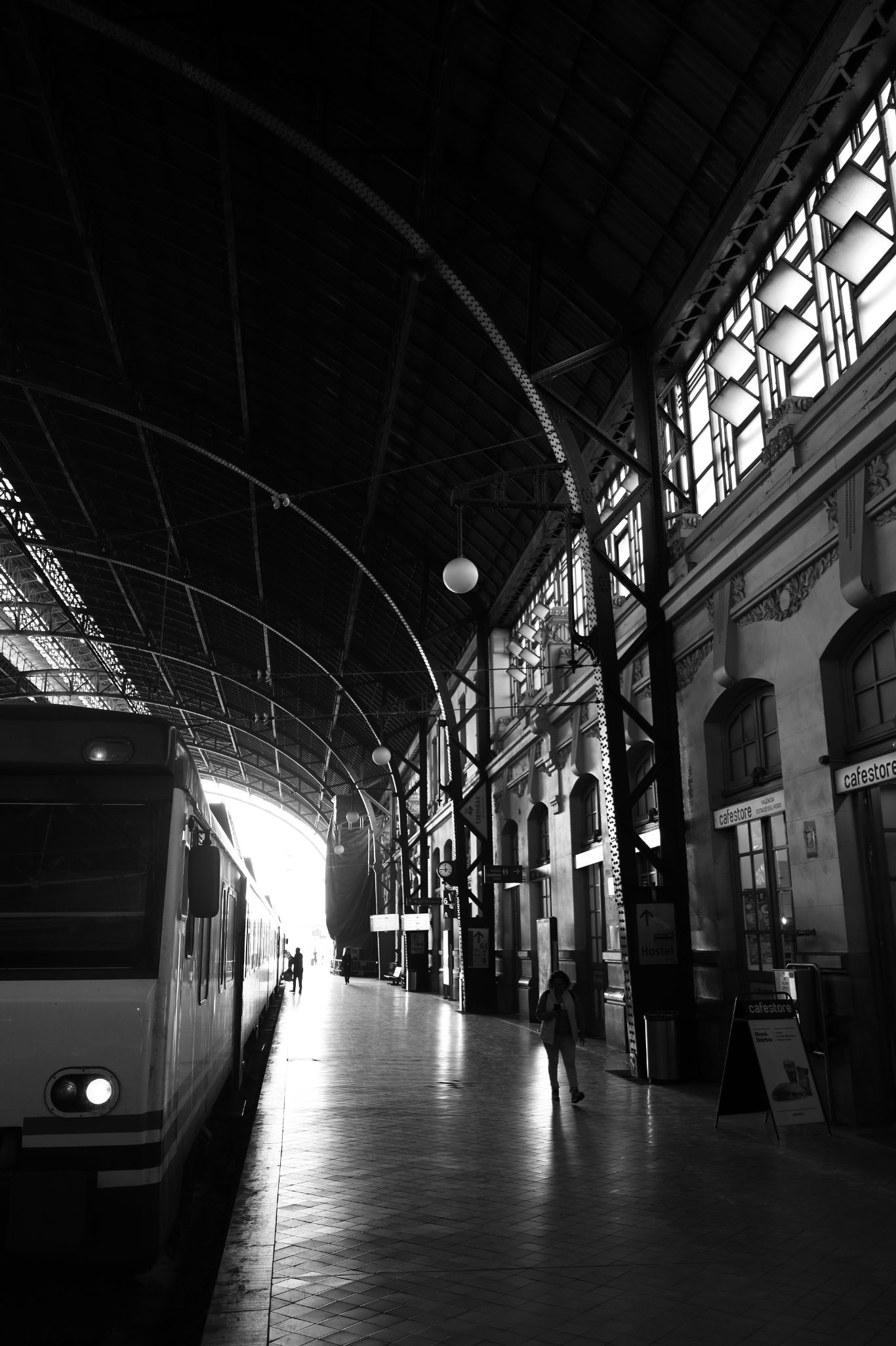 2024 11 09 5329 bw out