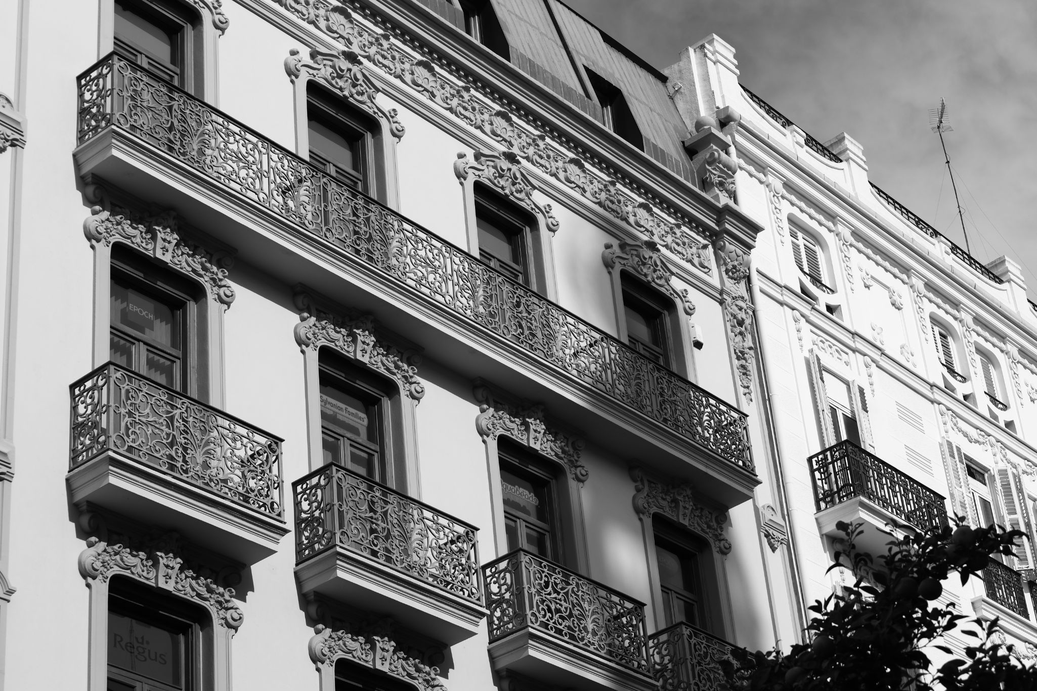 2024 11 09 5399 bw out