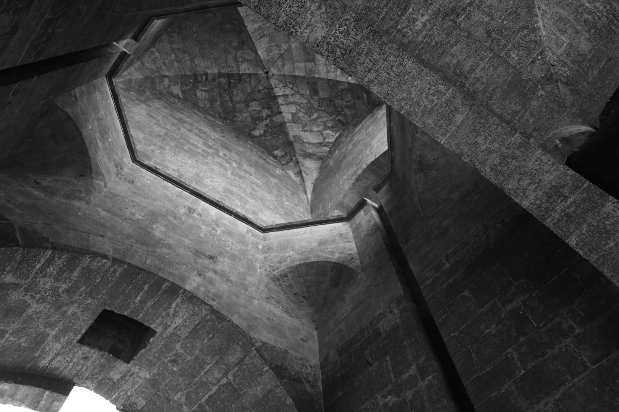 2024 11 09 5436 bw out