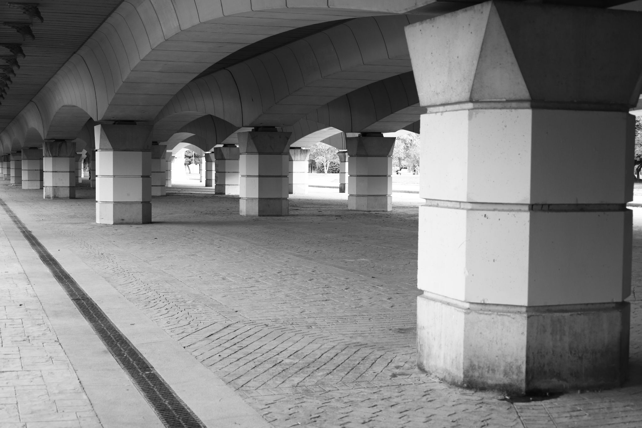 2024 11 09 5485 bw out