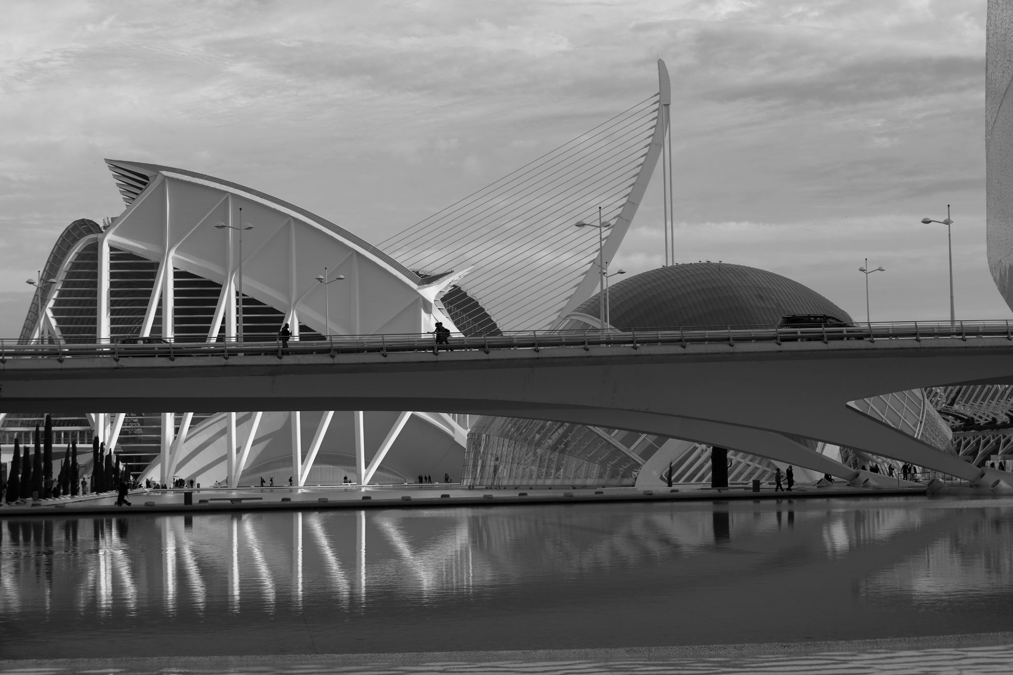 2024 11 09 5494 bw out