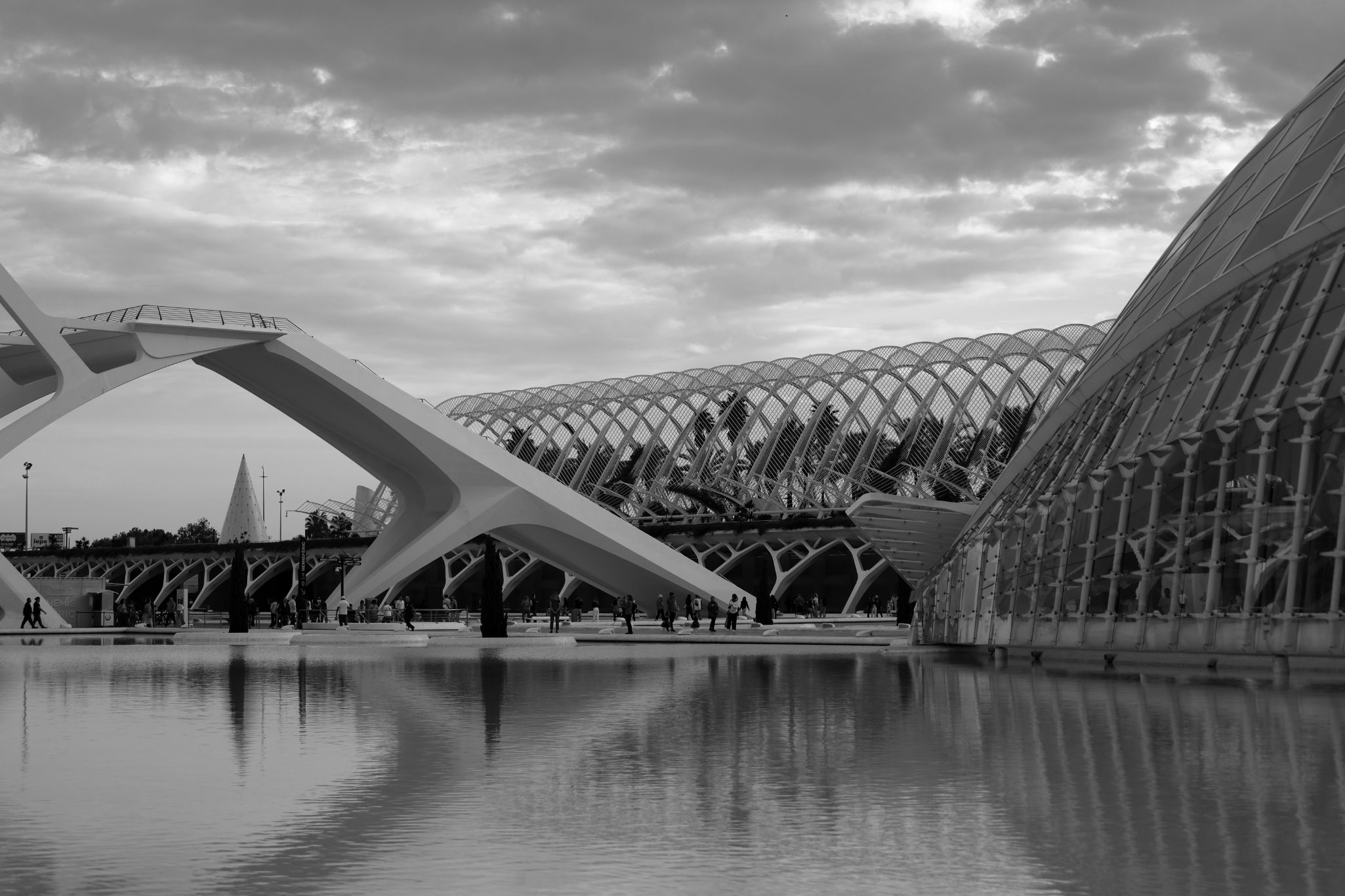 2024 11 09 5502 bw out