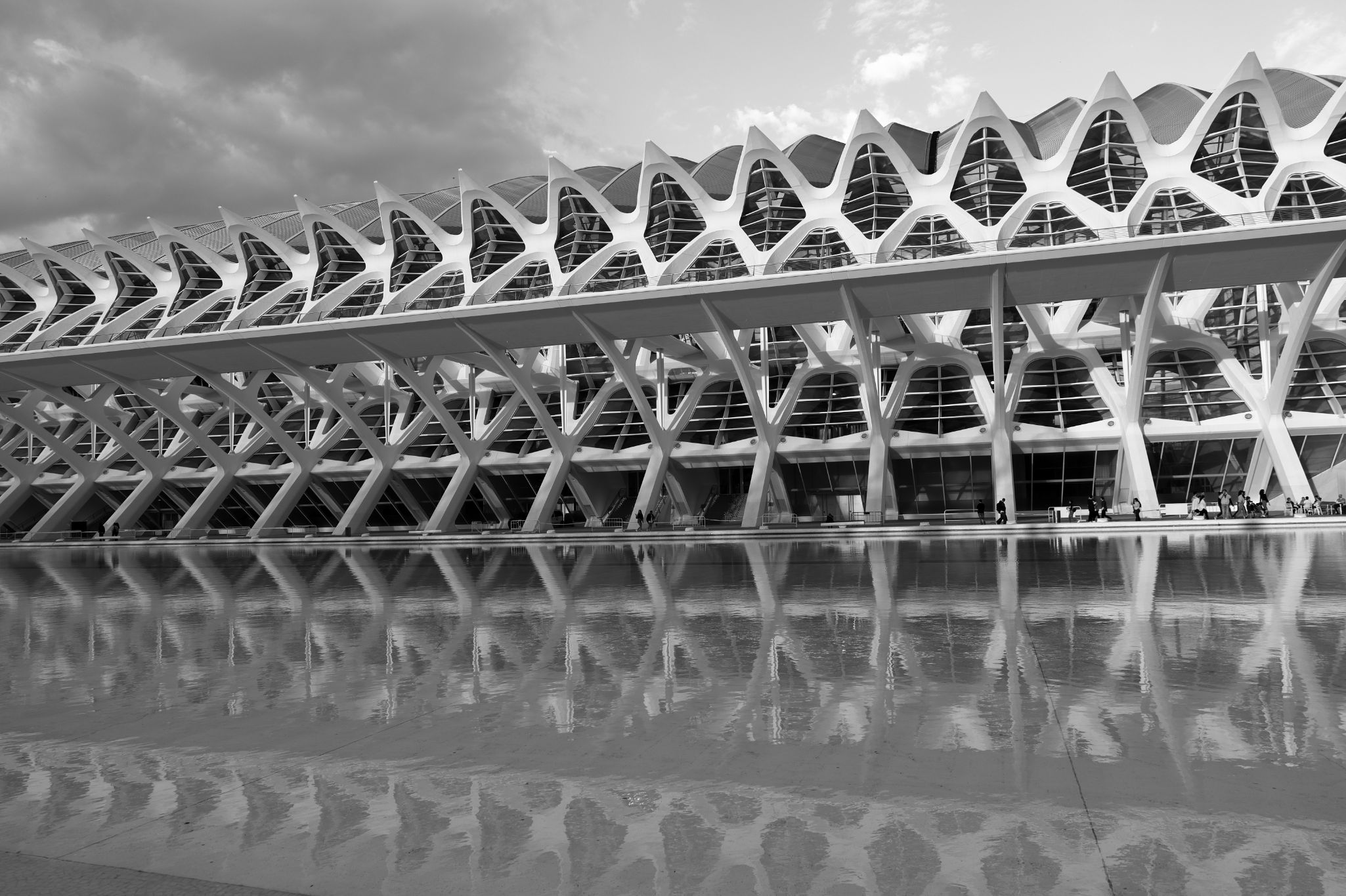 2024 11 09 5524 bw out