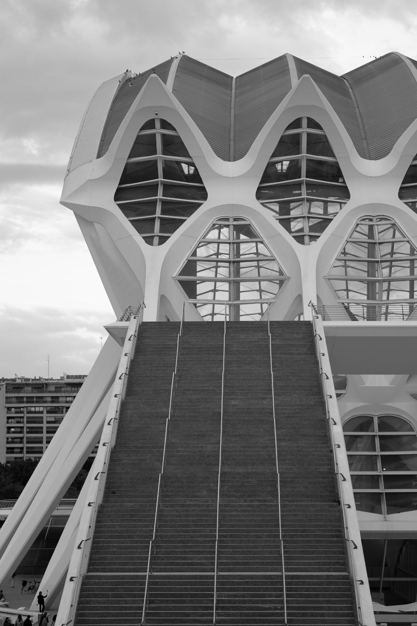 2024 11 09 5533 bw out