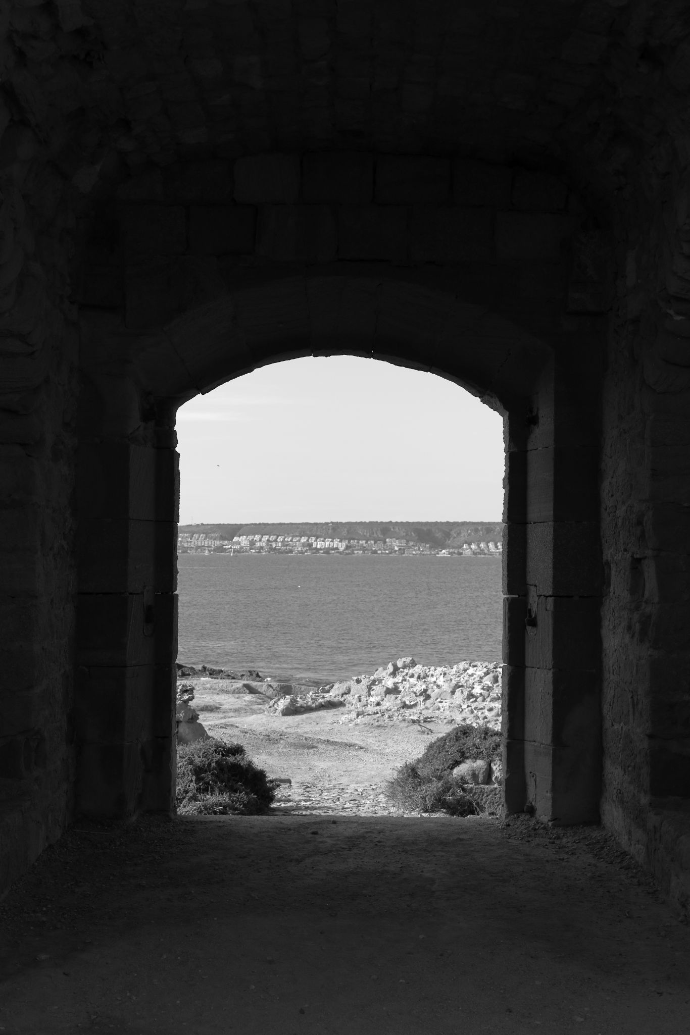 2024 11 10 5549 bw out