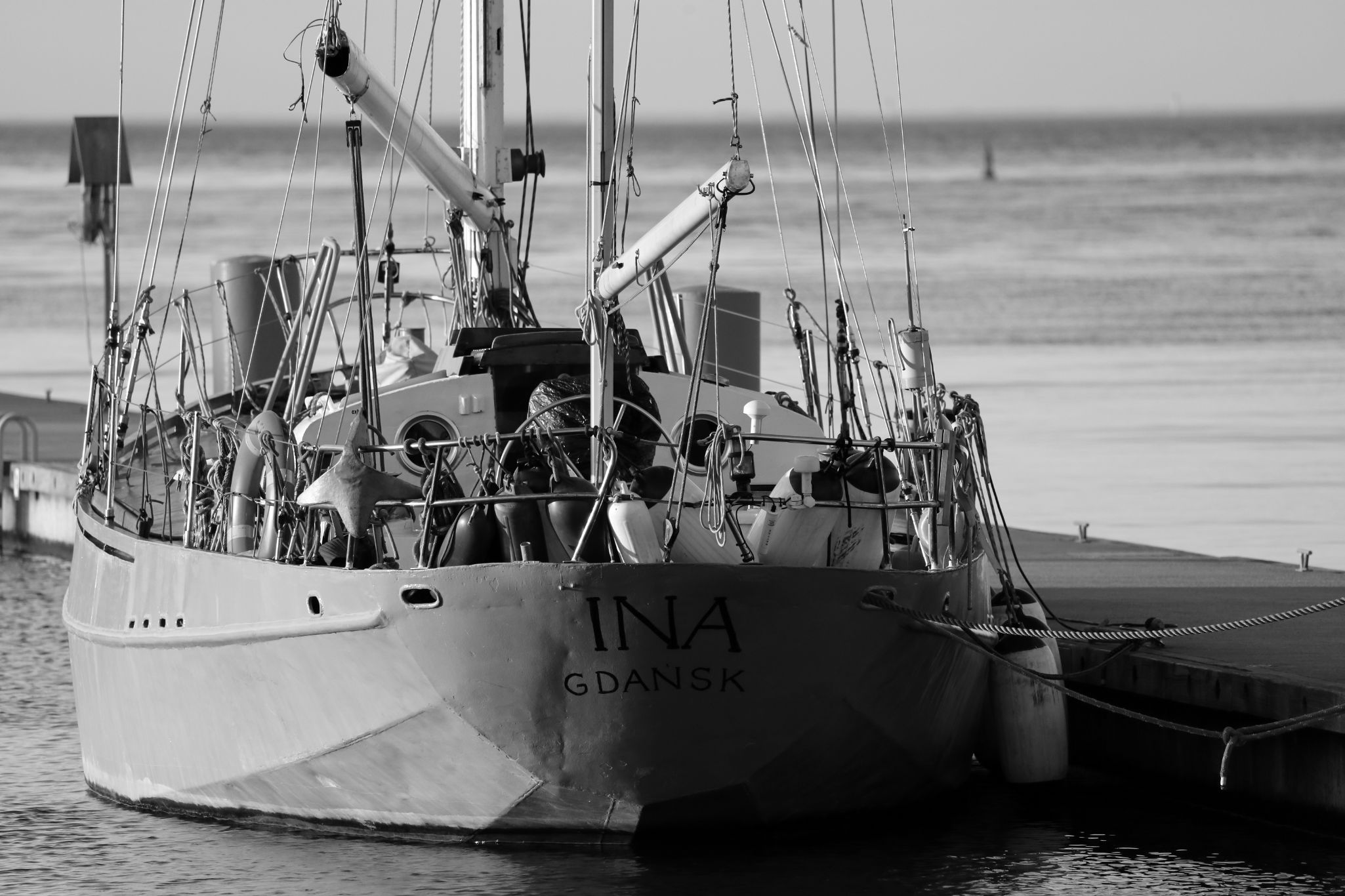 Trzebież B&W