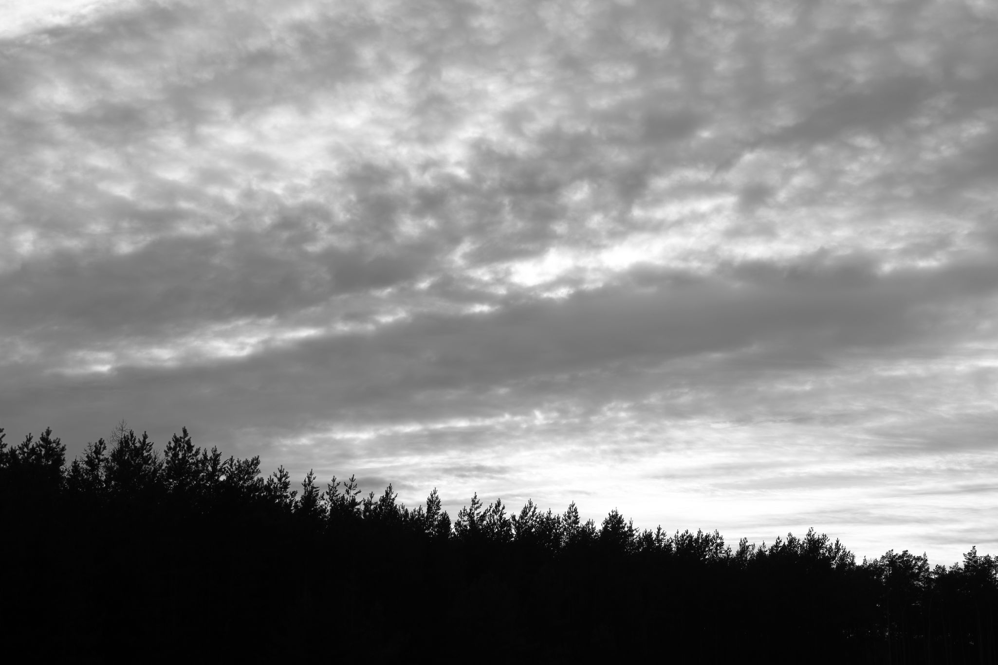 2025 02 24 5714 bw out