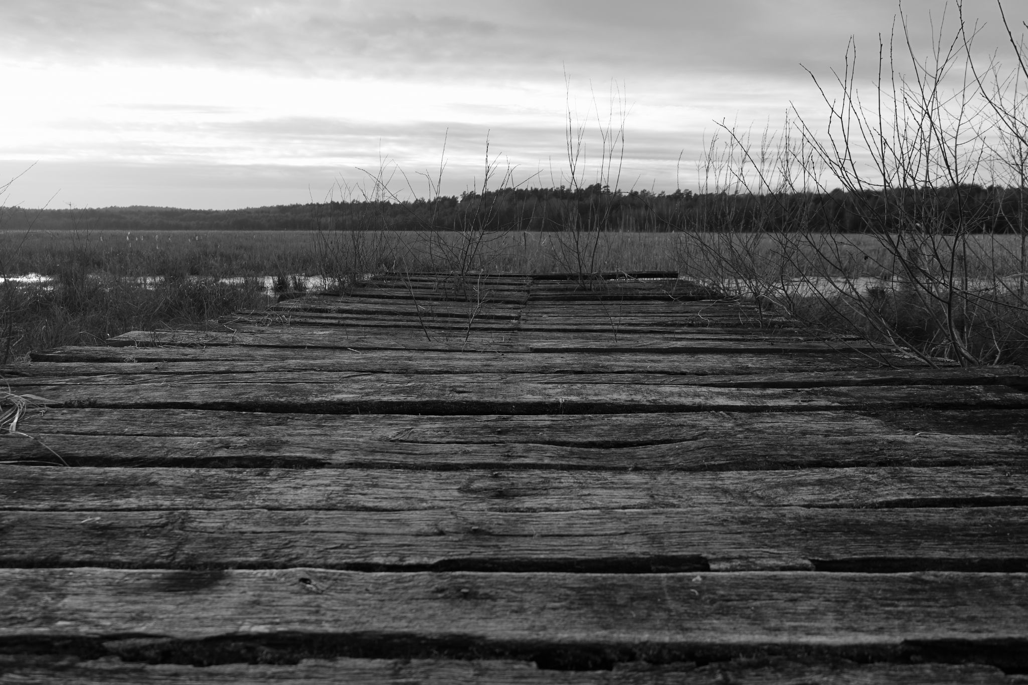 2025 02 24 5764 bw out