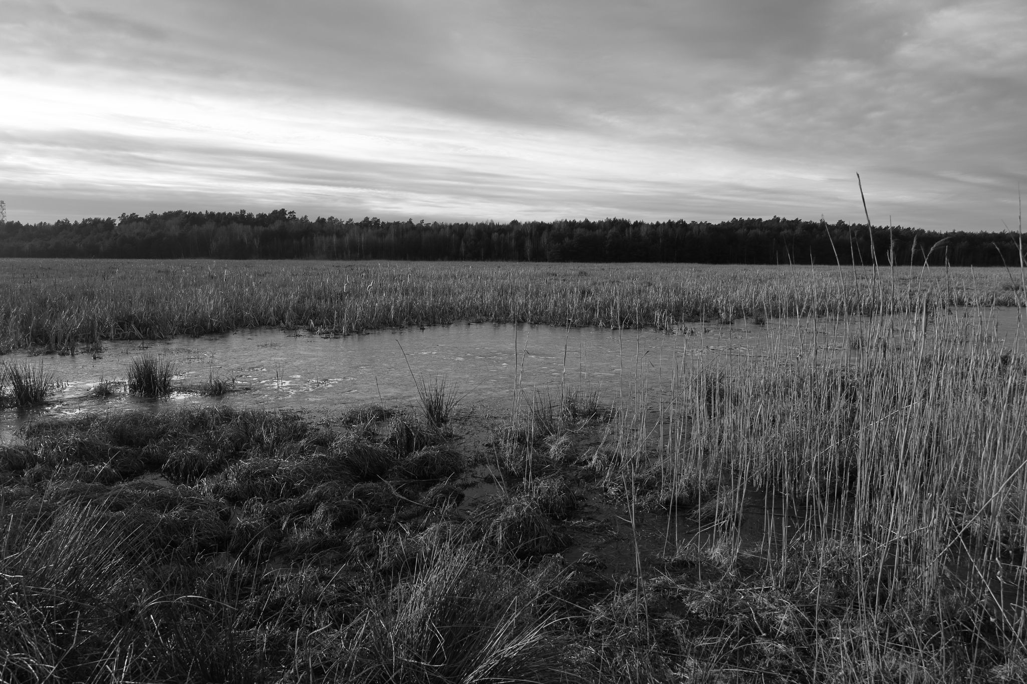 2025 02 24 5771 bw out