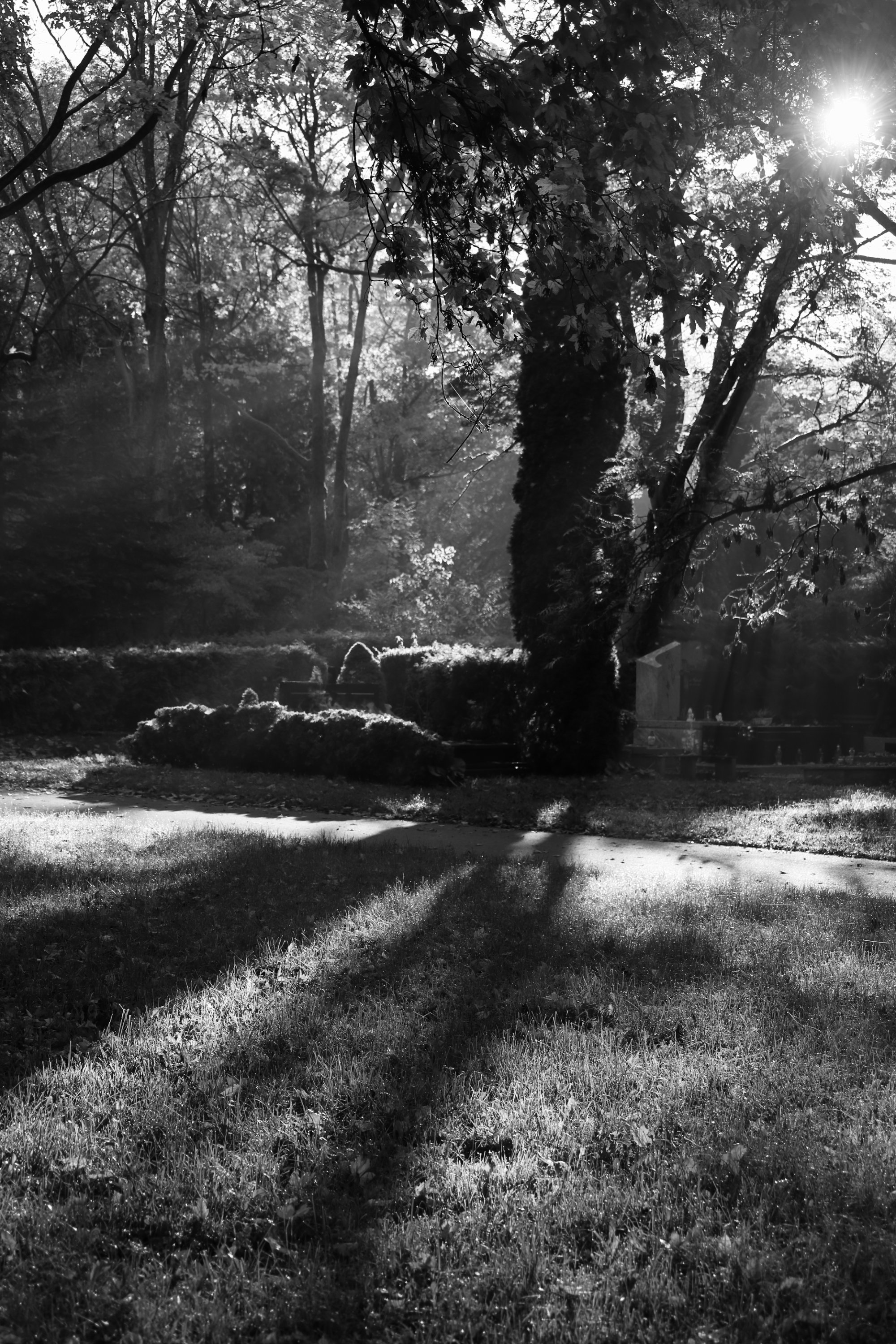 2025 10 19 8341 bw out