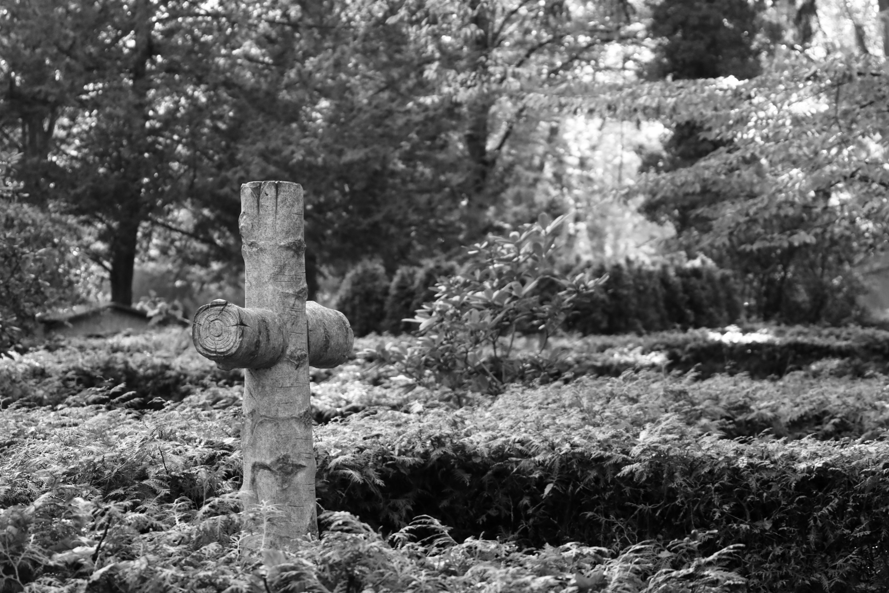 2025 10 19 8388 bw out