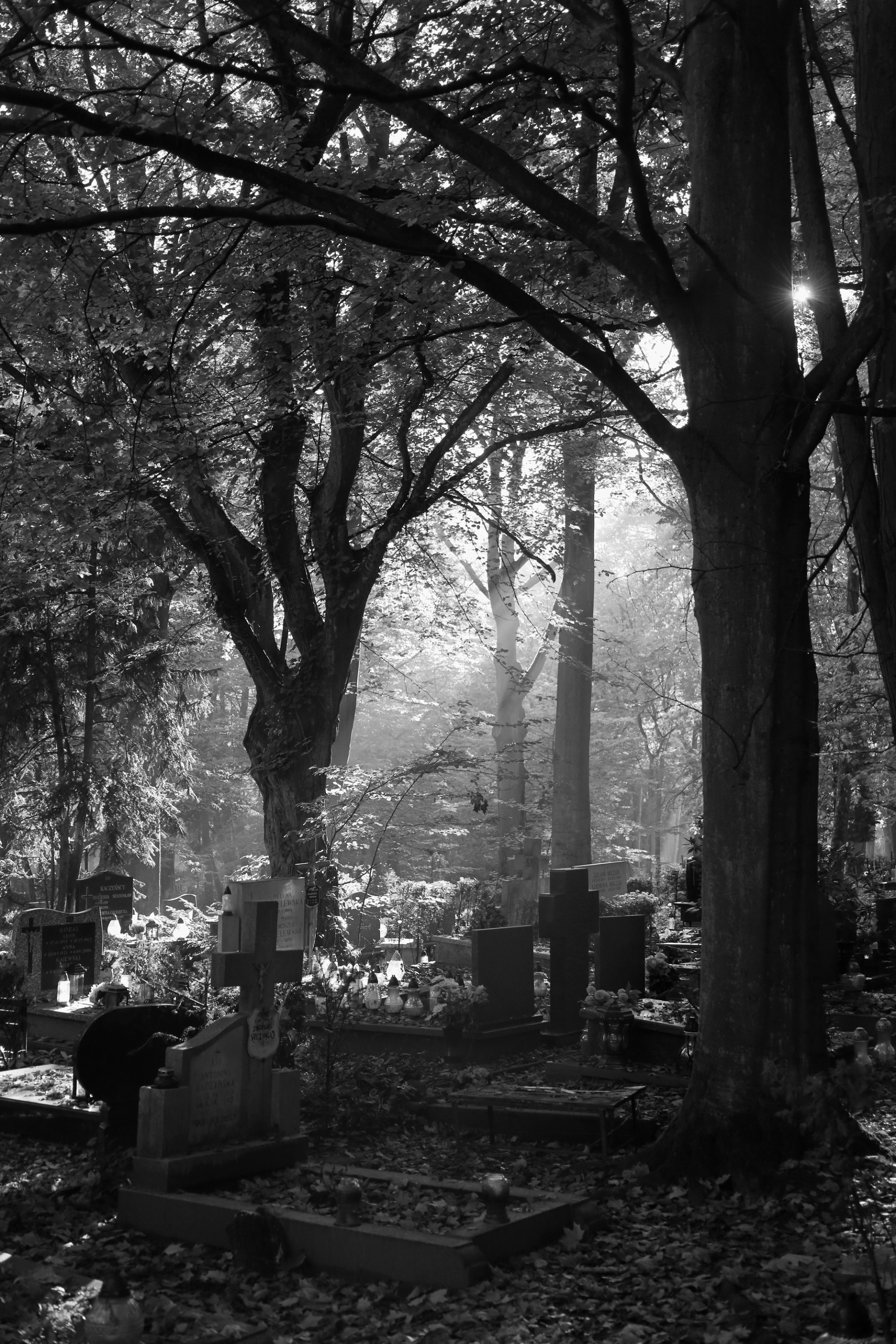 2025 10 19 8398 bw out