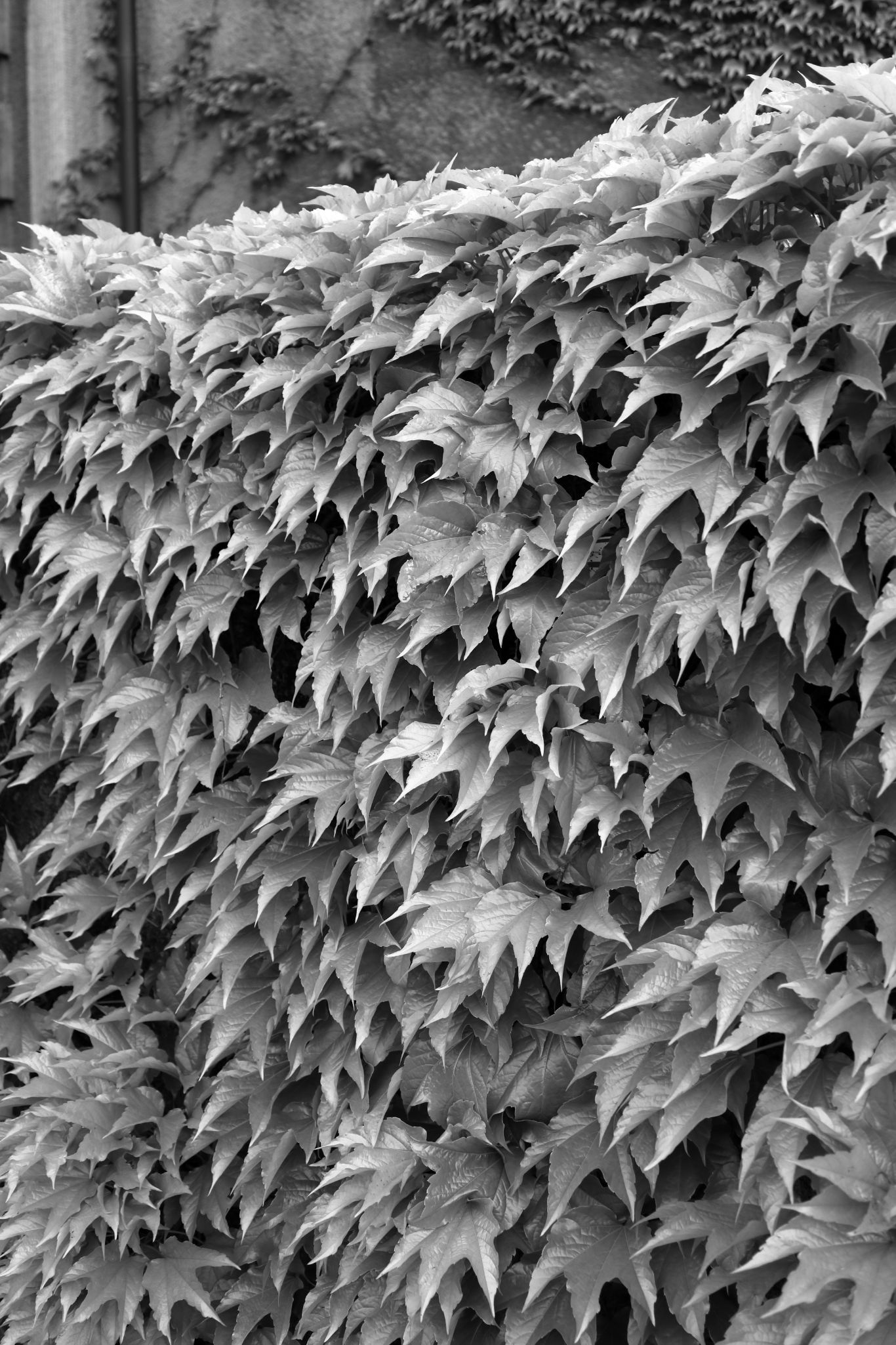 2024 05 01 2359 v2 bw out