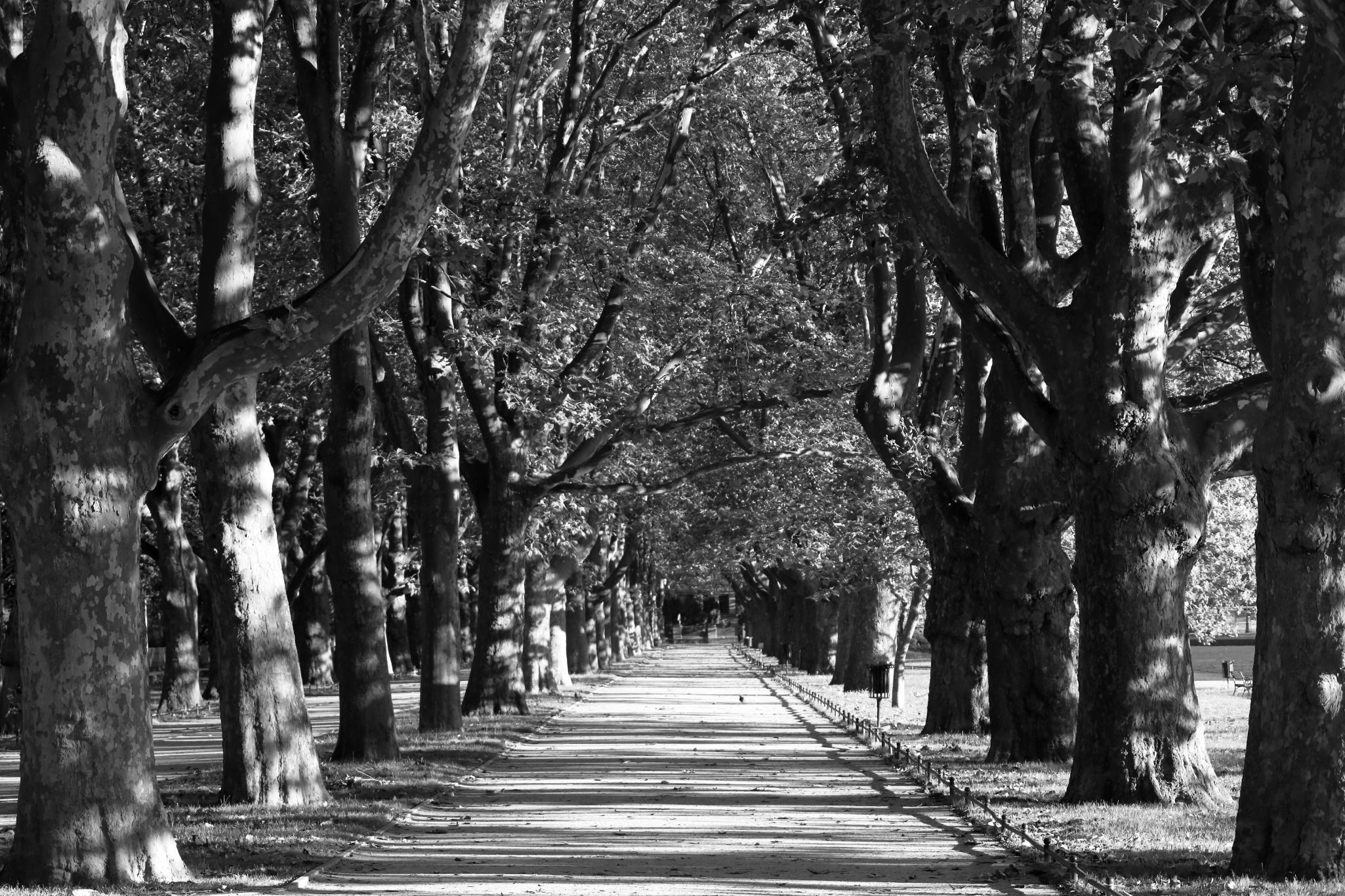 2024 07 14 3583 v2 bw out