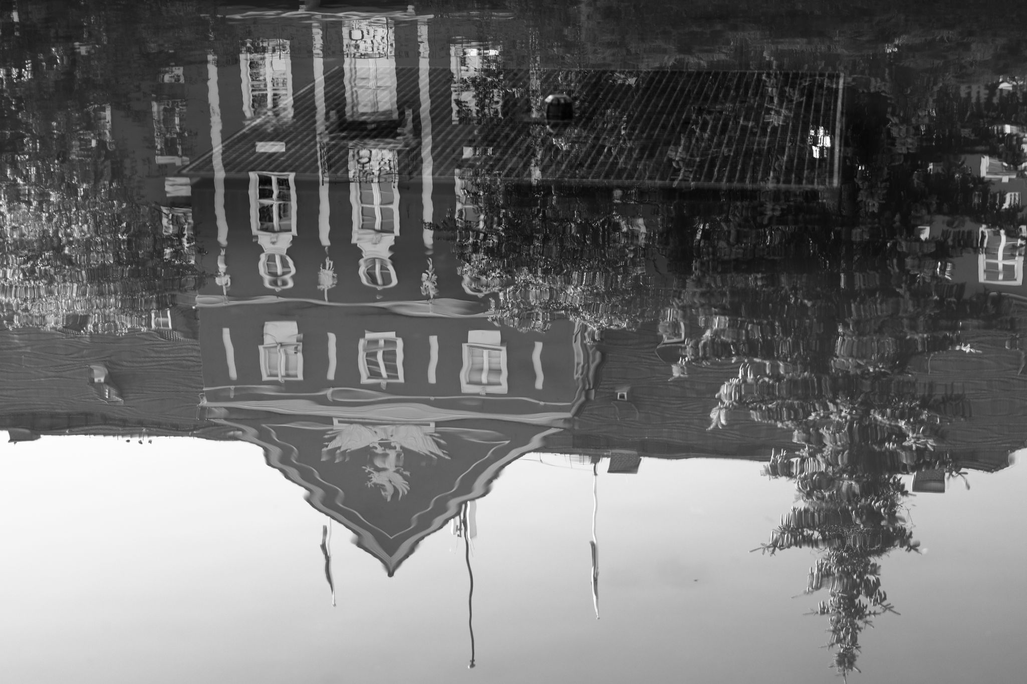 2024 07 14 3591 v2 bw out