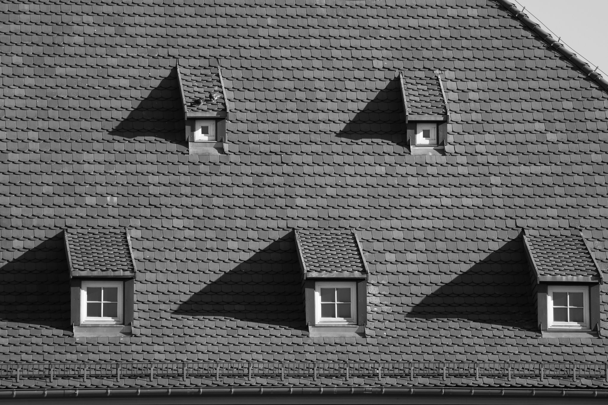 2024 07 14 3644 v2 bw out